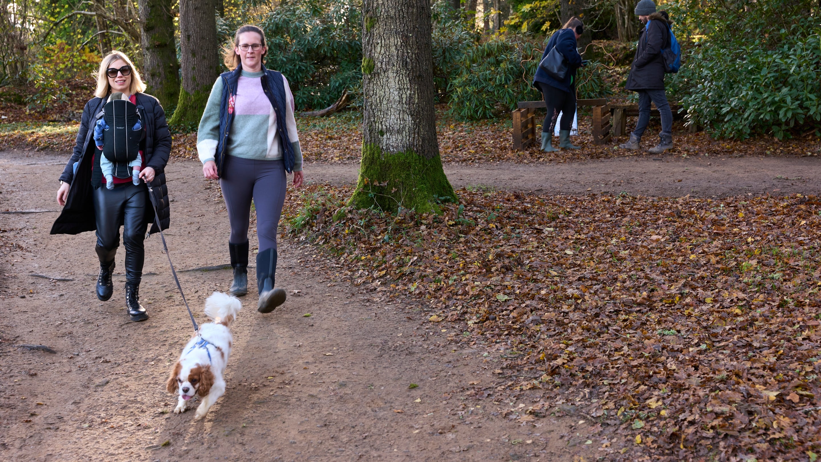 New parents walking a dog in woodland