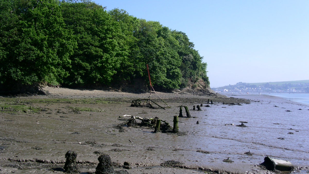 Burrough Farm trail Devon National Trust