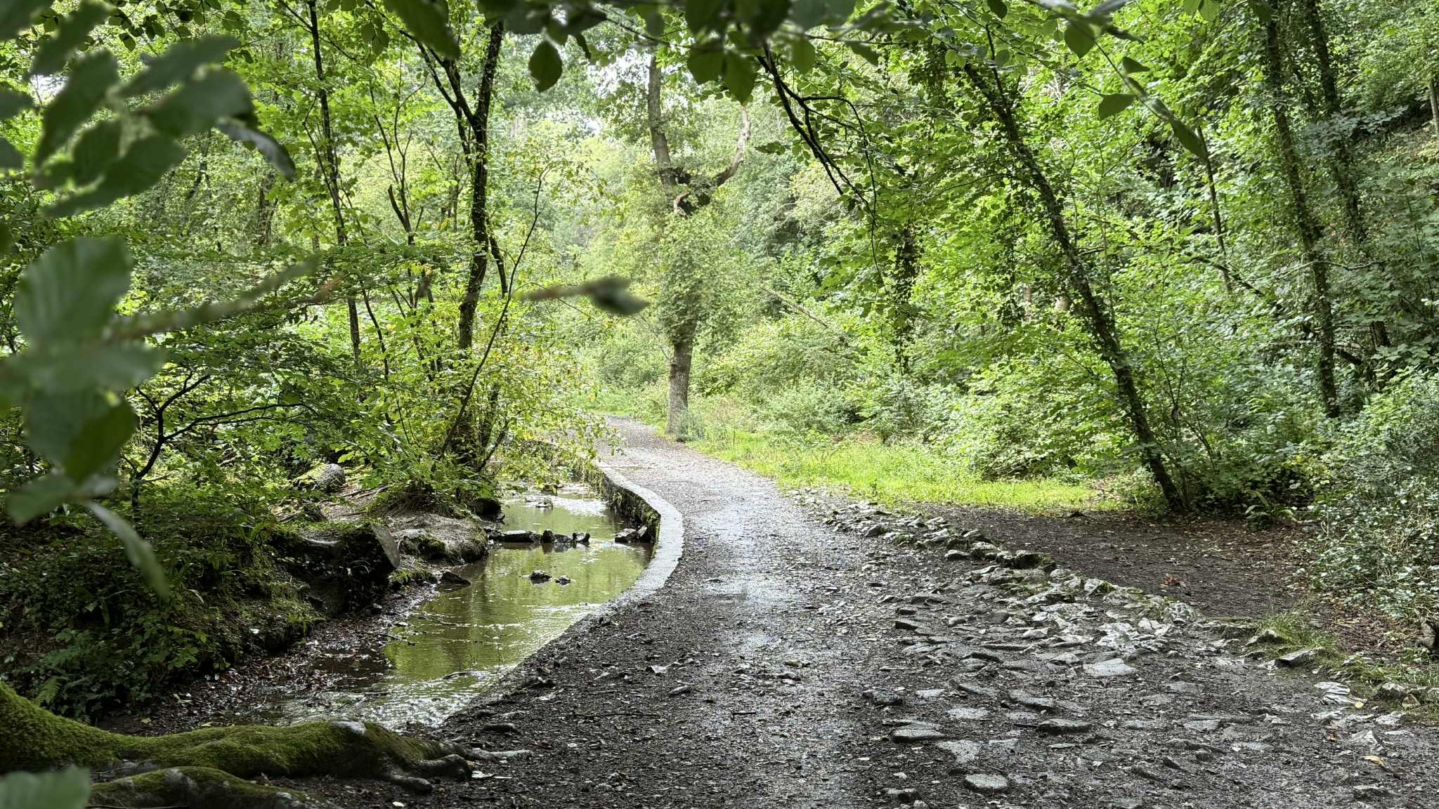 Stone path leading alongside a leat through a woodland in Devon