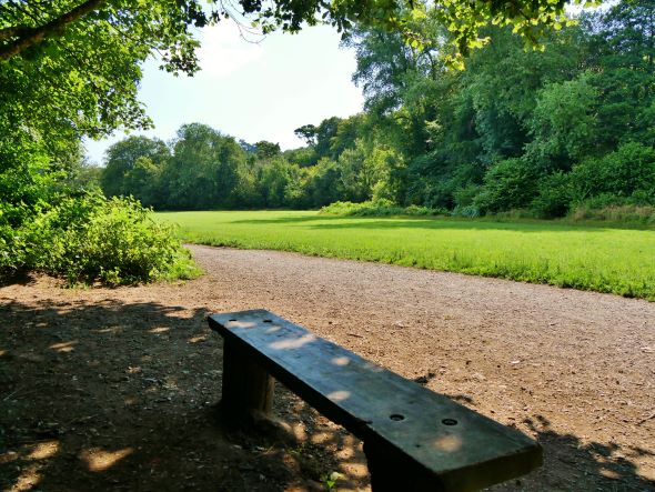 Wooden bench in the meadow on a summers day at Bradley, Devon