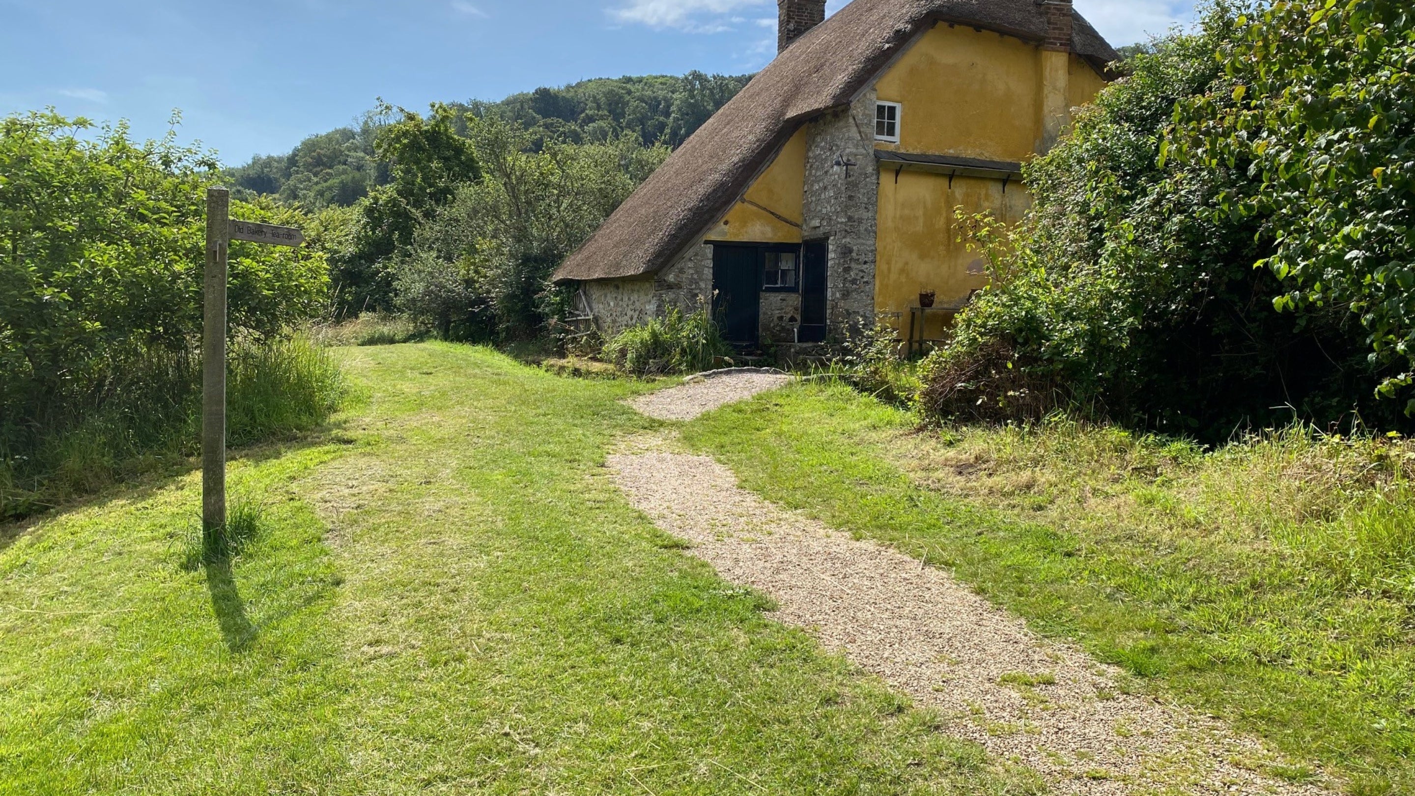Gravel pathways leading through a grassy orchard with a thatched yellow building