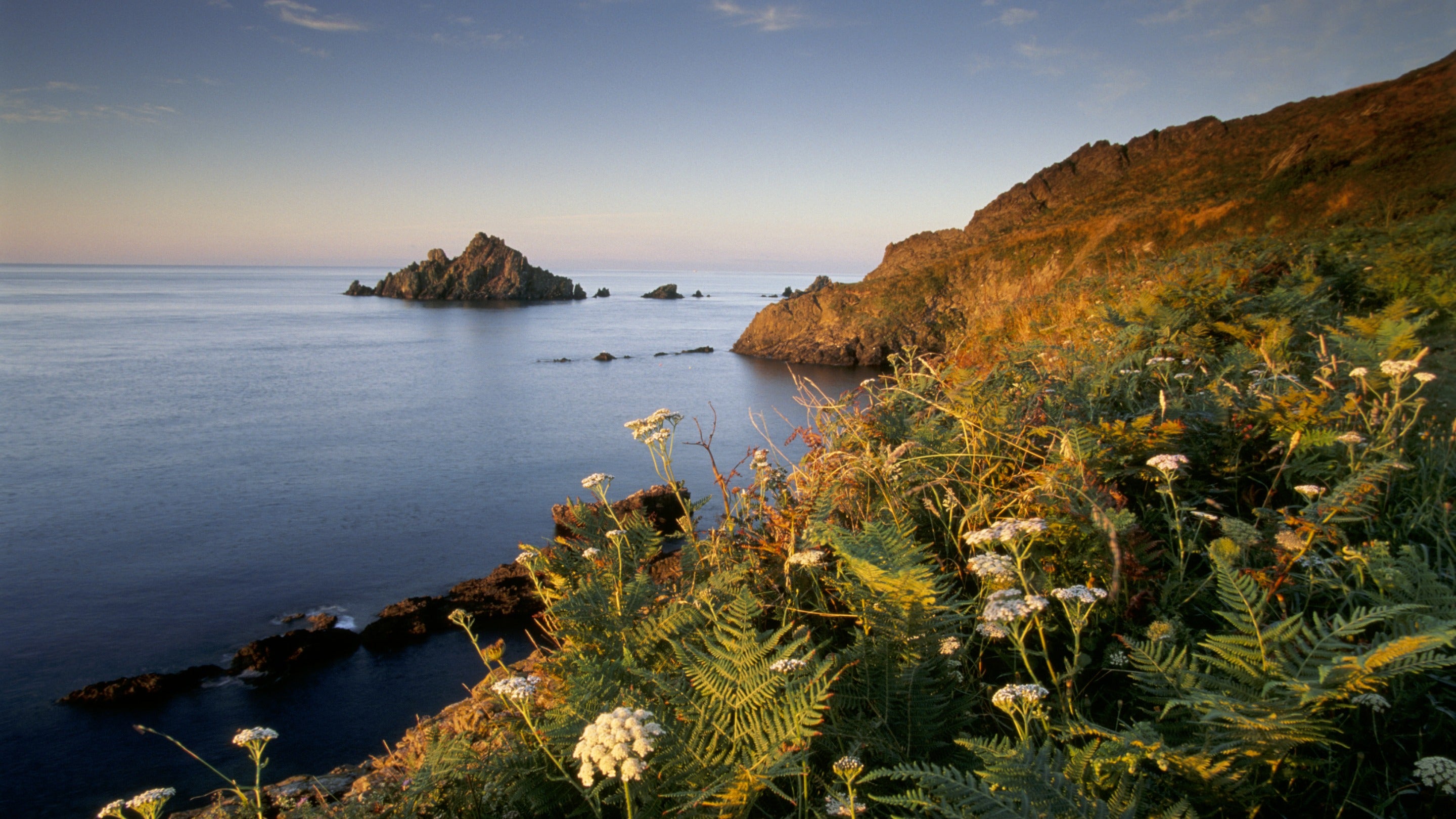 A rugged coastline in summer with a calm sea