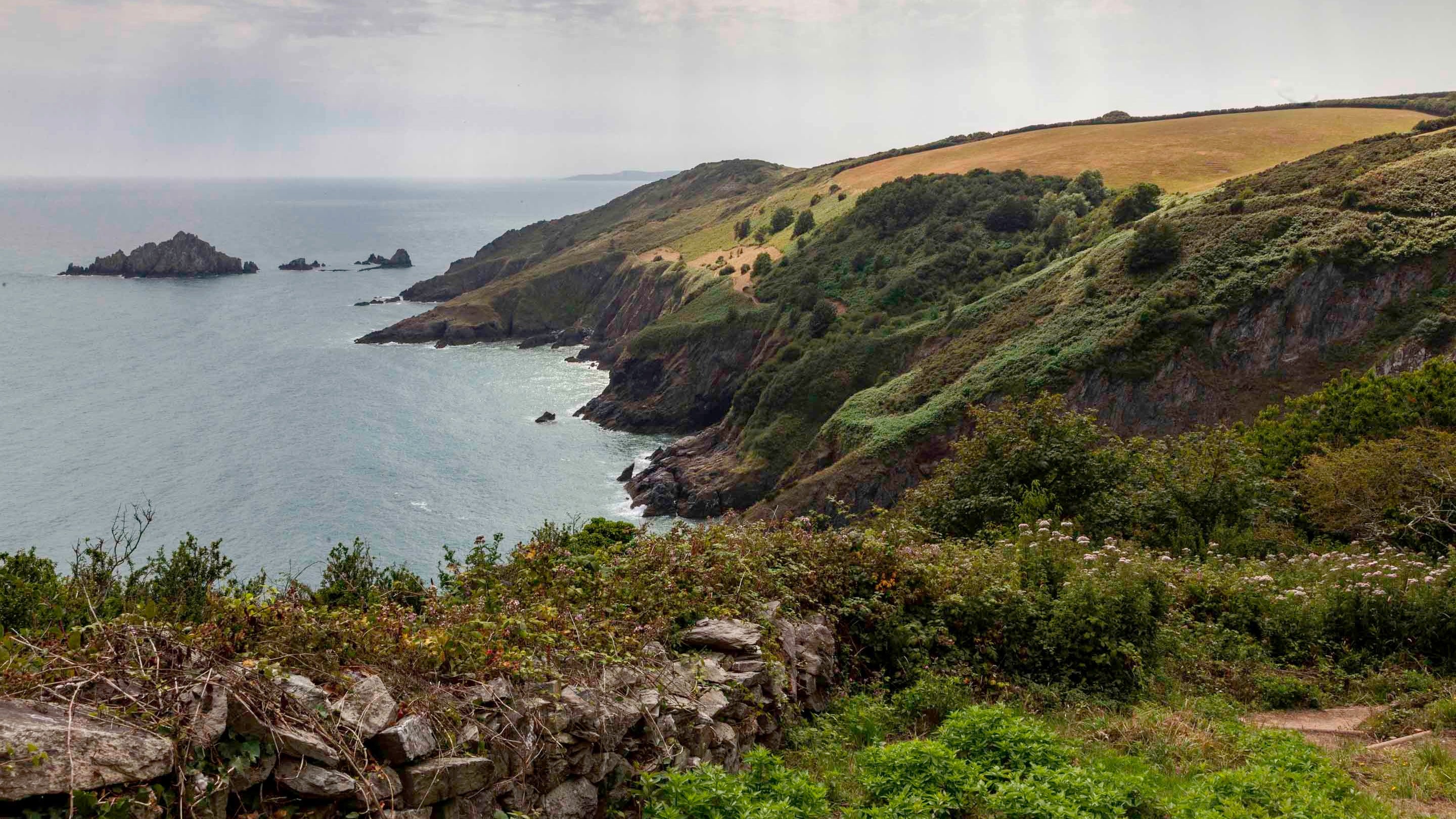 View of the coastline from the viewpoint at Coleton Fishacre, Devon