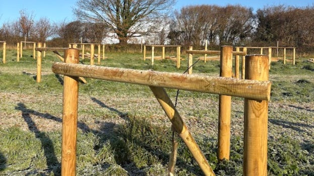 A wooden support is in the foreground with others behind in a green field. The sky is blue and frost is visible on the ground.