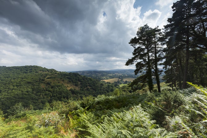 View of the Teign Valley at Castle Drogo, Devon