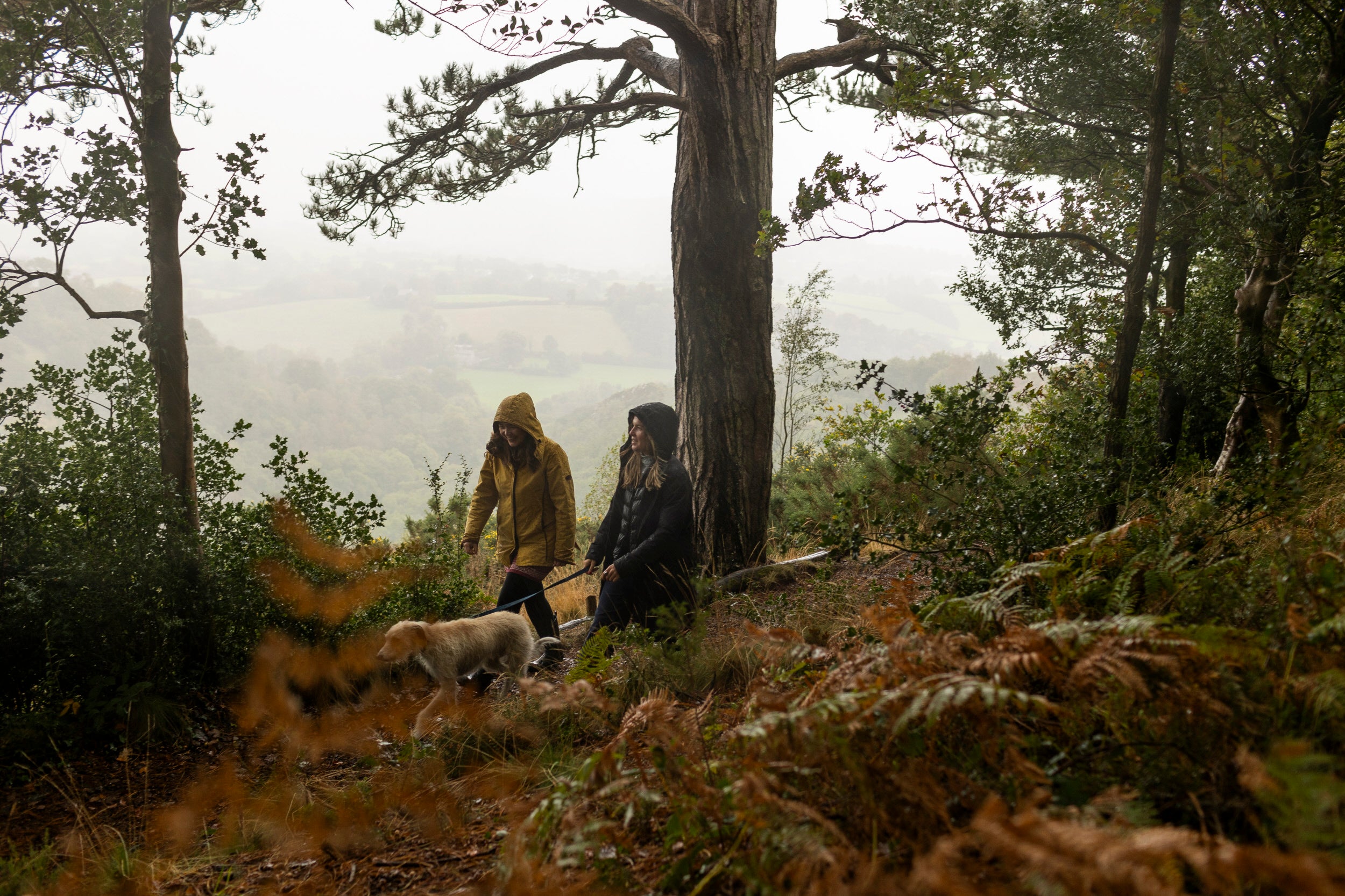 Two people walking a dog in the rain. They are walking along a wooded path with a misty view behind them
