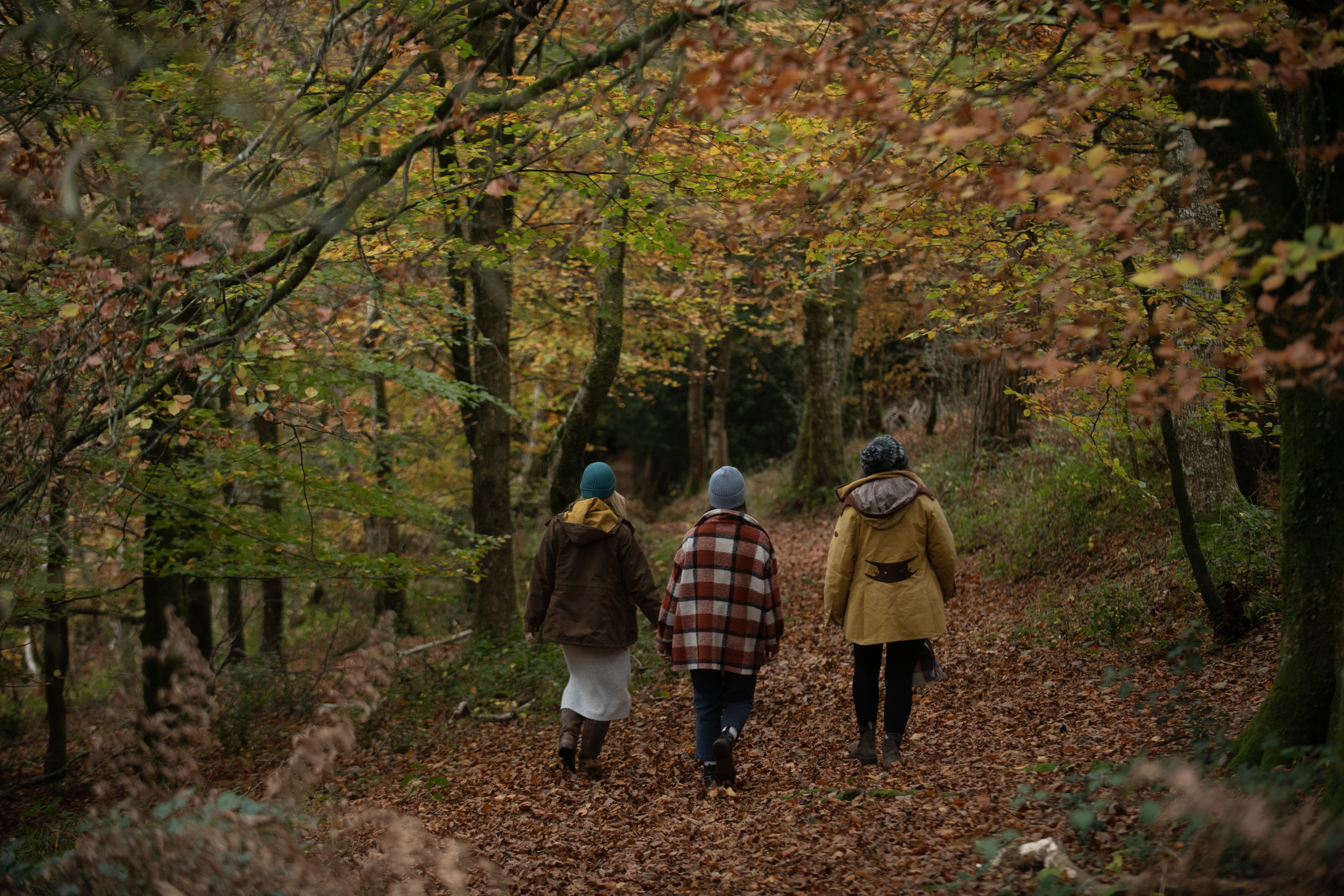 Three visitors walk away from the camera along a sheltered path covered in Autumn leaves.