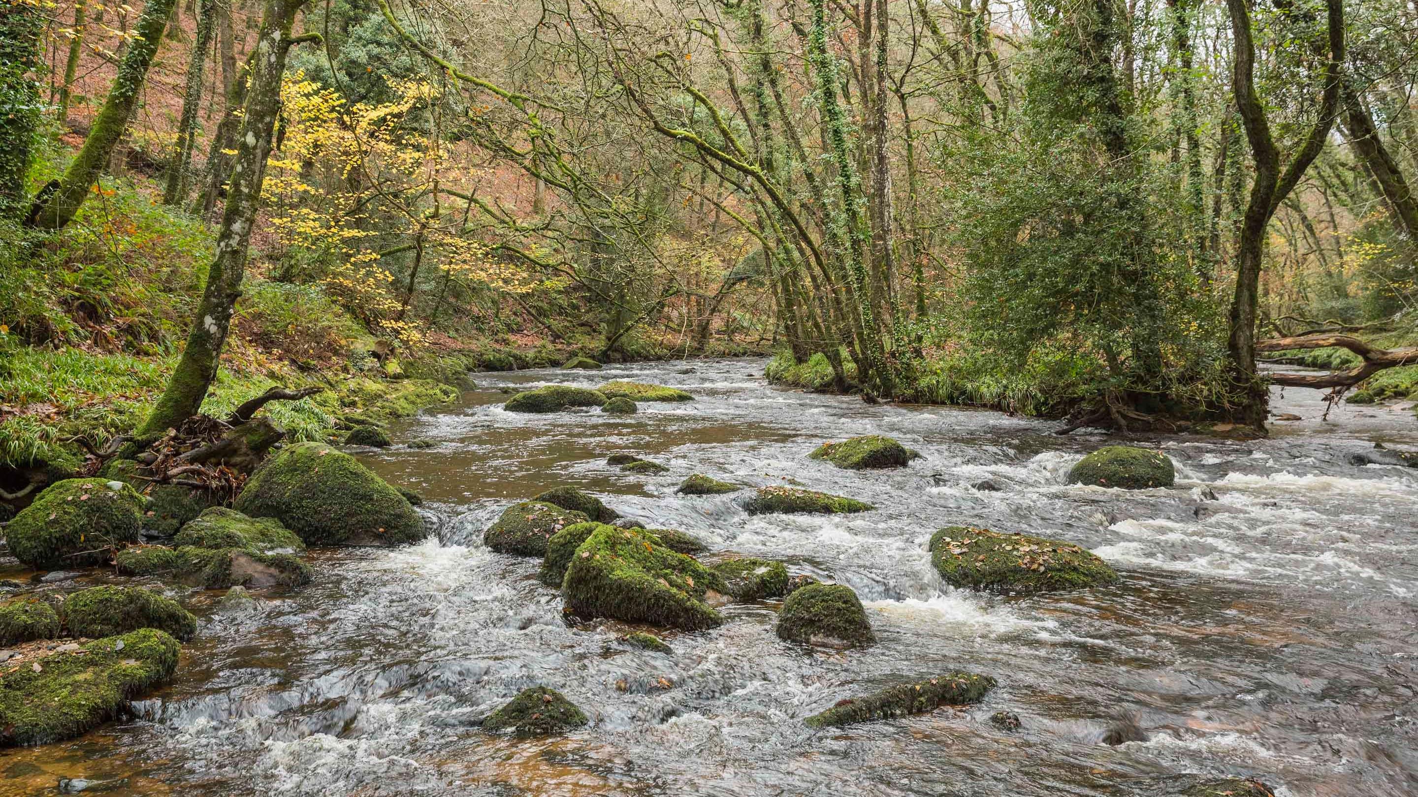Water rushing along the Teign Gorge on the Castle Drogo estate, Devon in Autumn