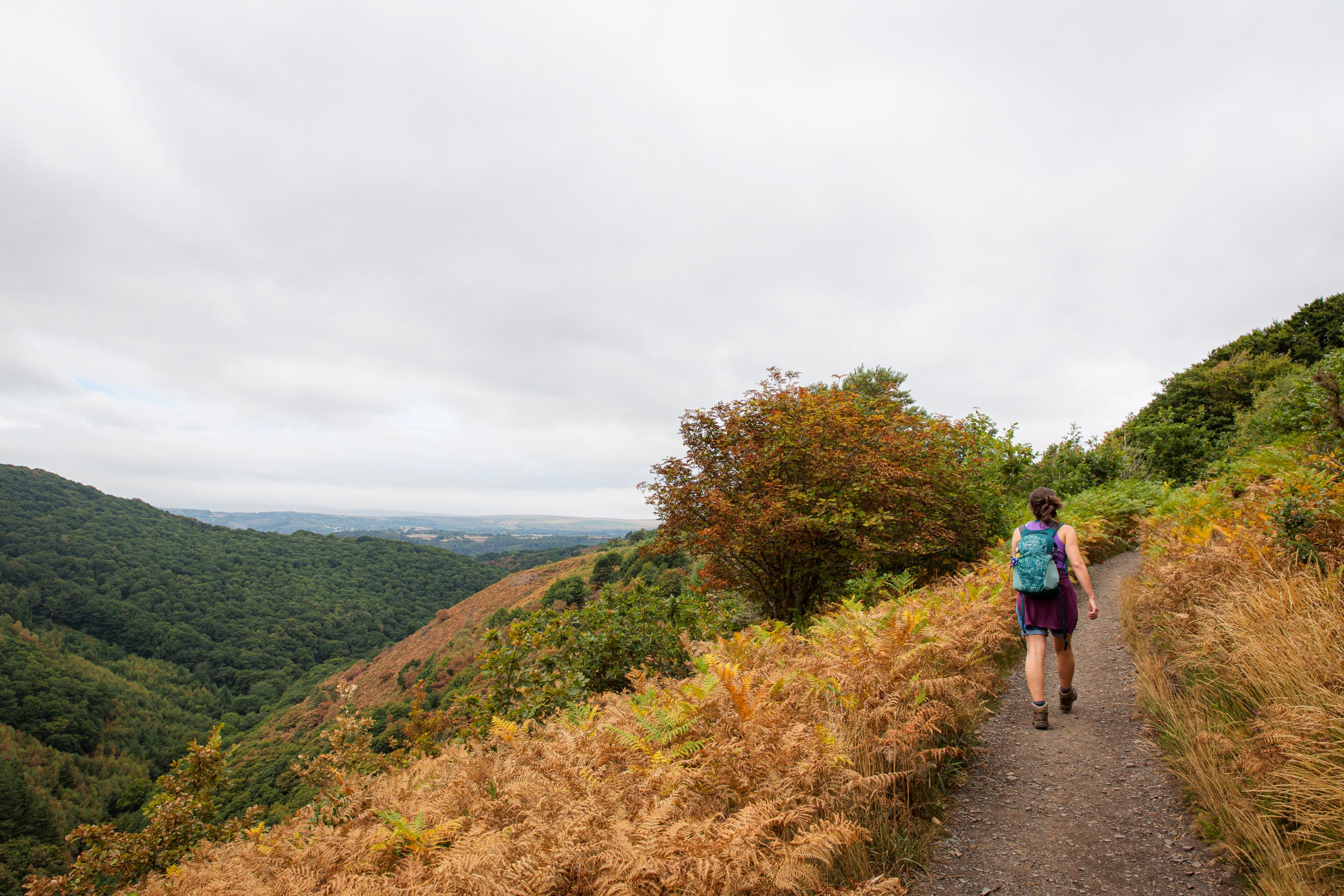 Visitor on the walking trail from Castle Drogo to Fingle Bridge