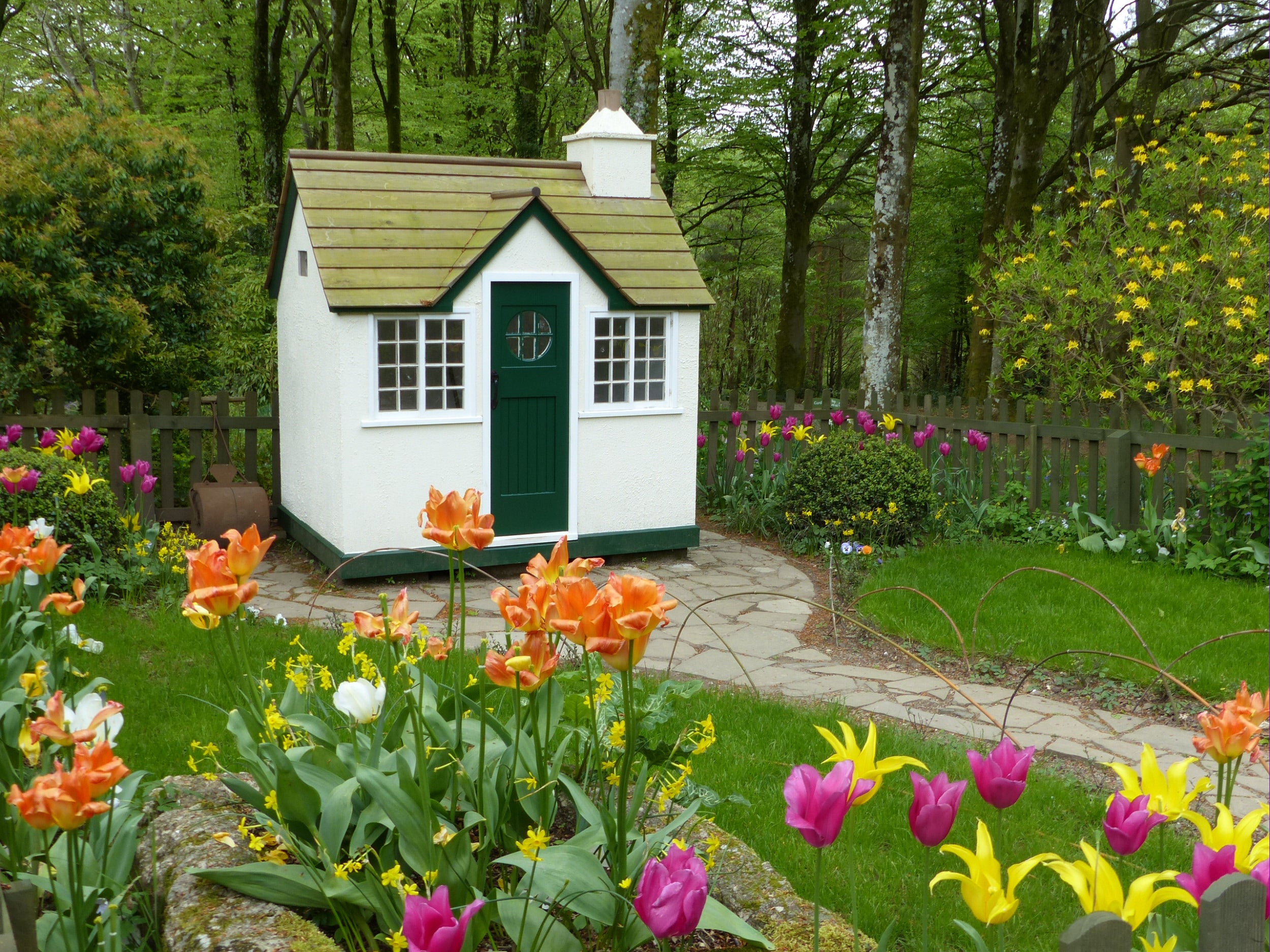 Child's playhouse with tulips in the garden