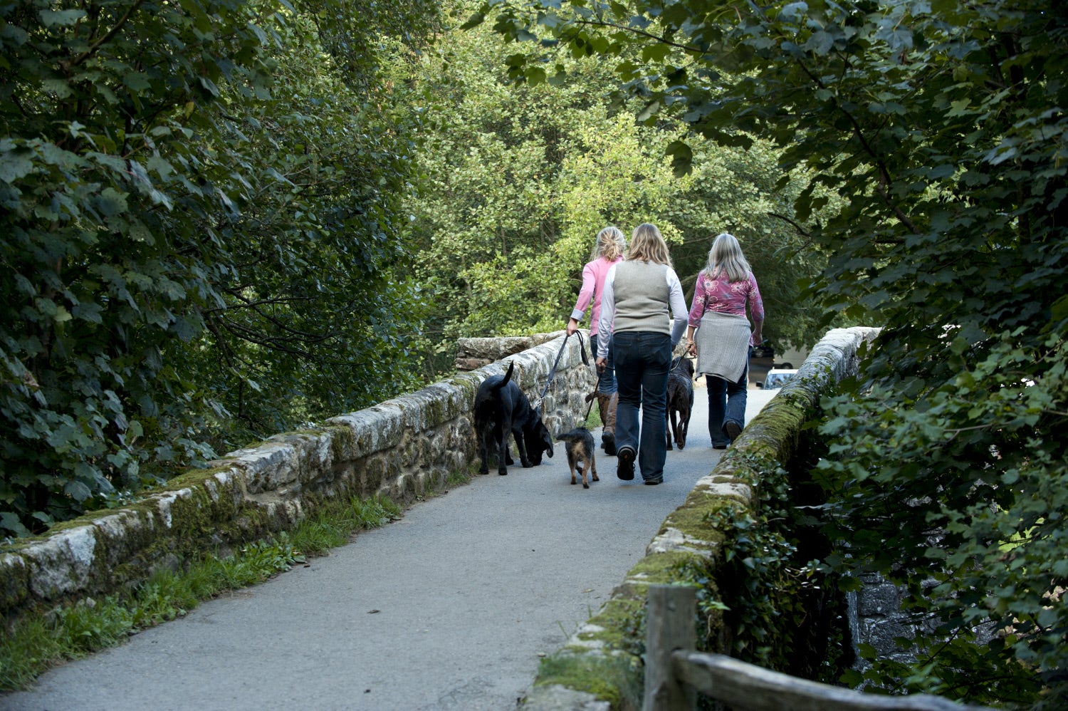 Visitors walking dogs on the estate at Castle Drogo, Devon.