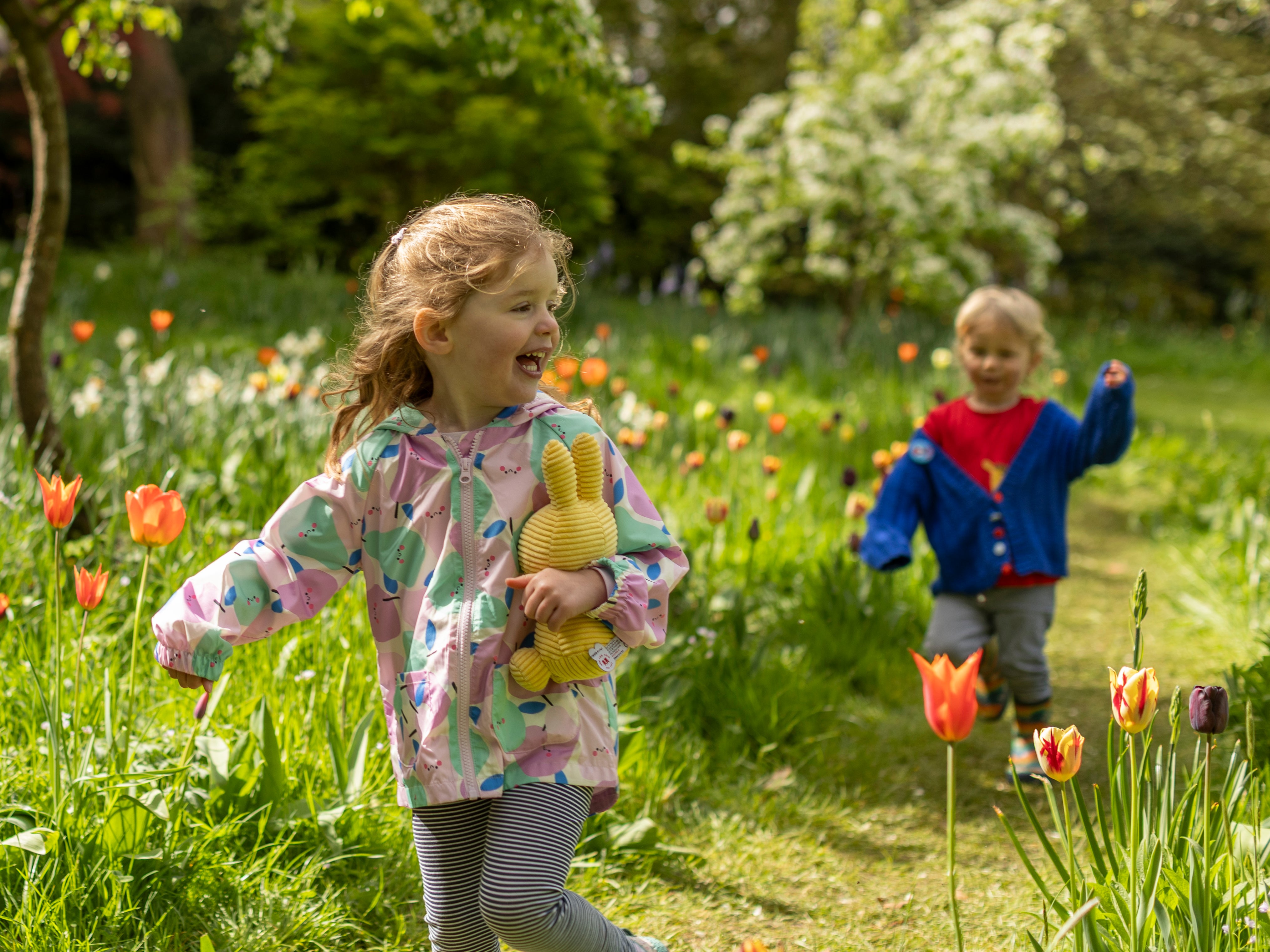 Two children walking along a grassy path surrounded by colourful tulips