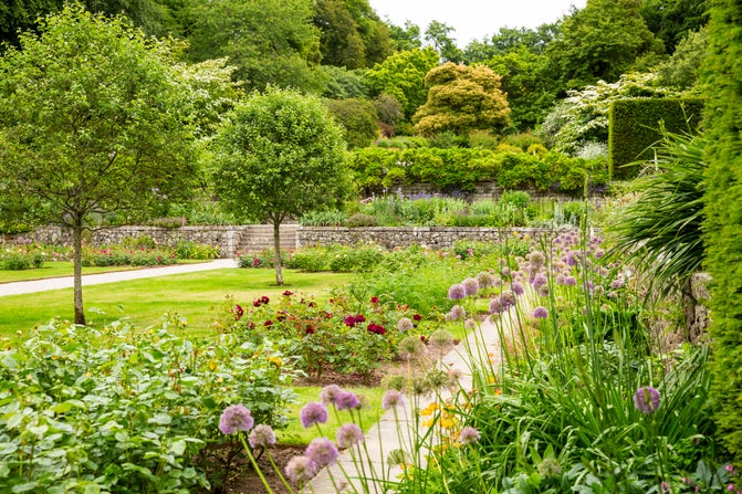 Summer flowerbeds in the Formal Gardens at Castle Drogo.