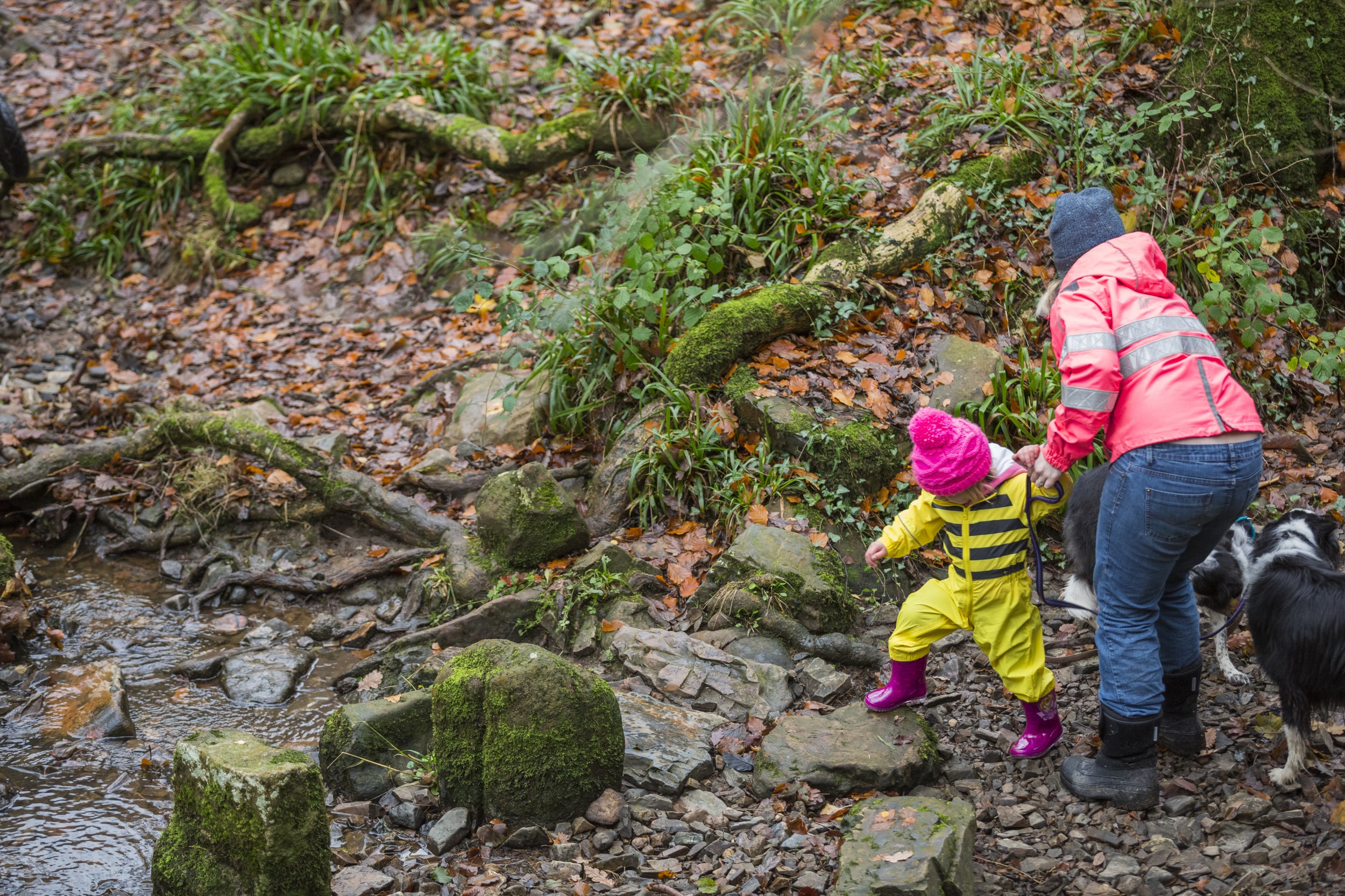 Visitors walking the Teign Gorge on the Castle Drogo estate, Devon.