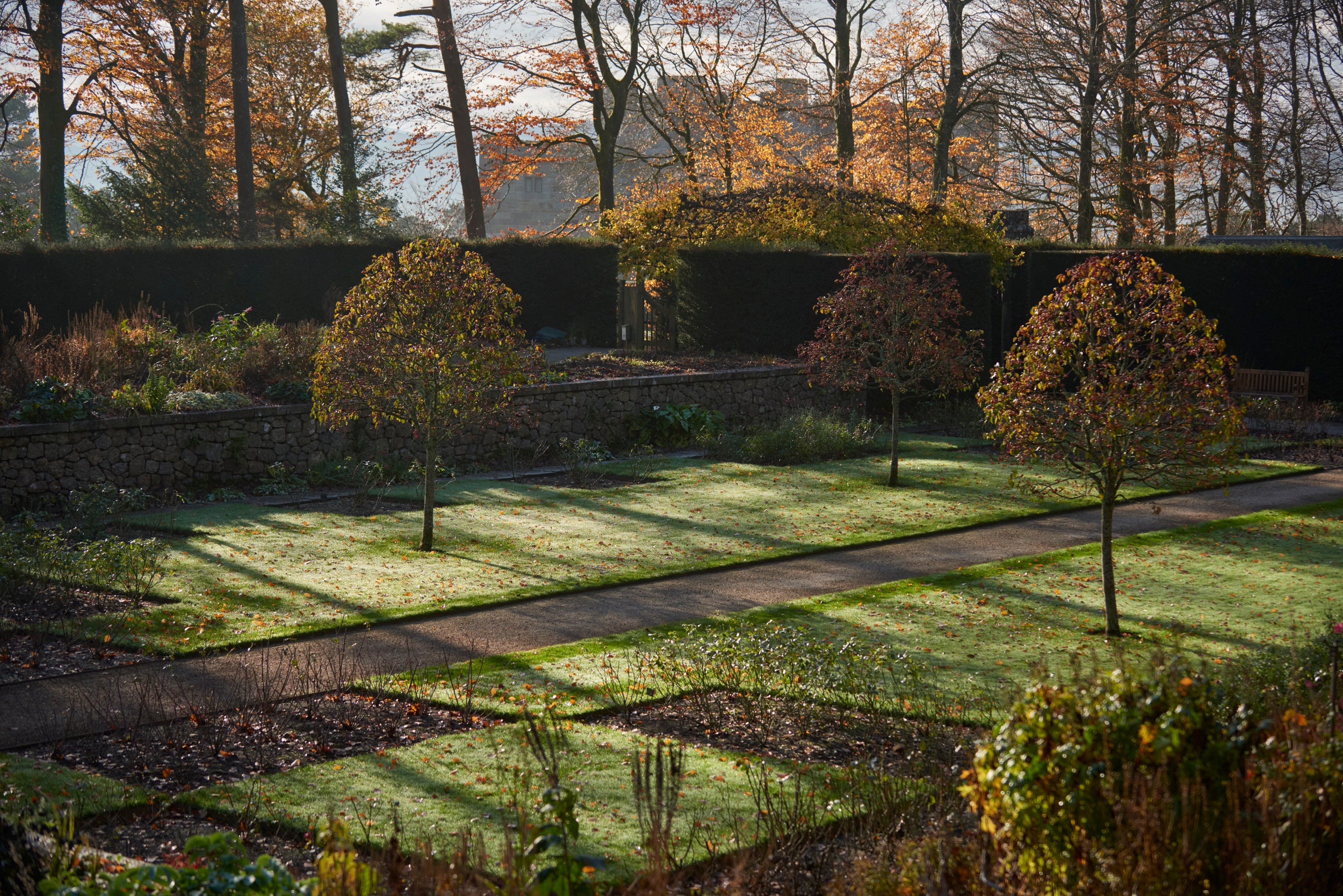 The Rose Garden in December at Castle Drogo, Devon