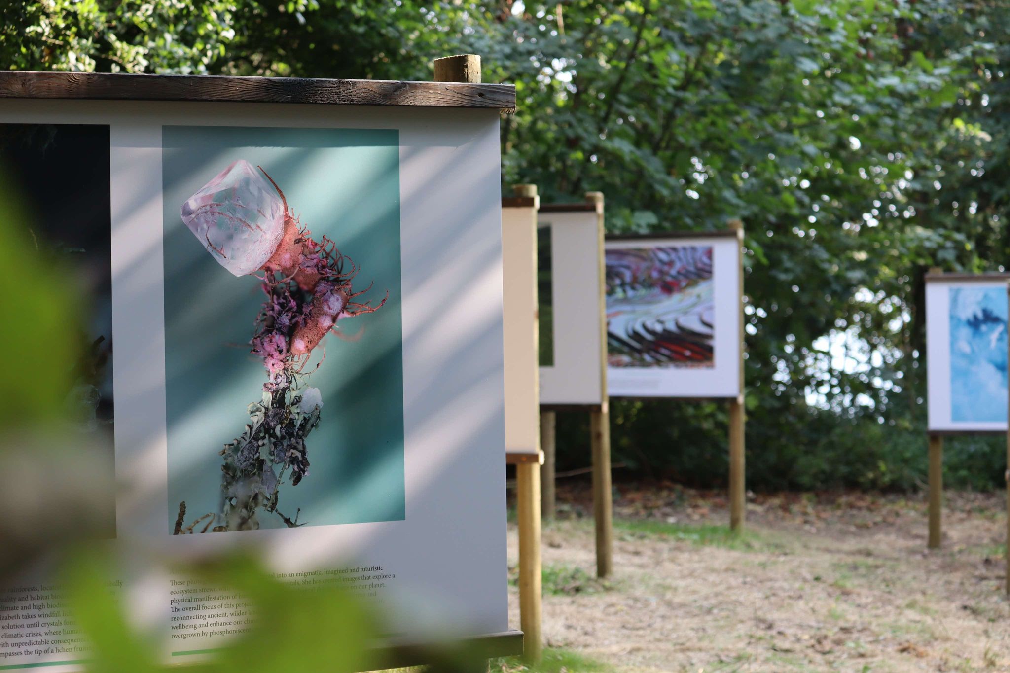 Photographic exhibition in the garden at Coleton Fishacre, Devon