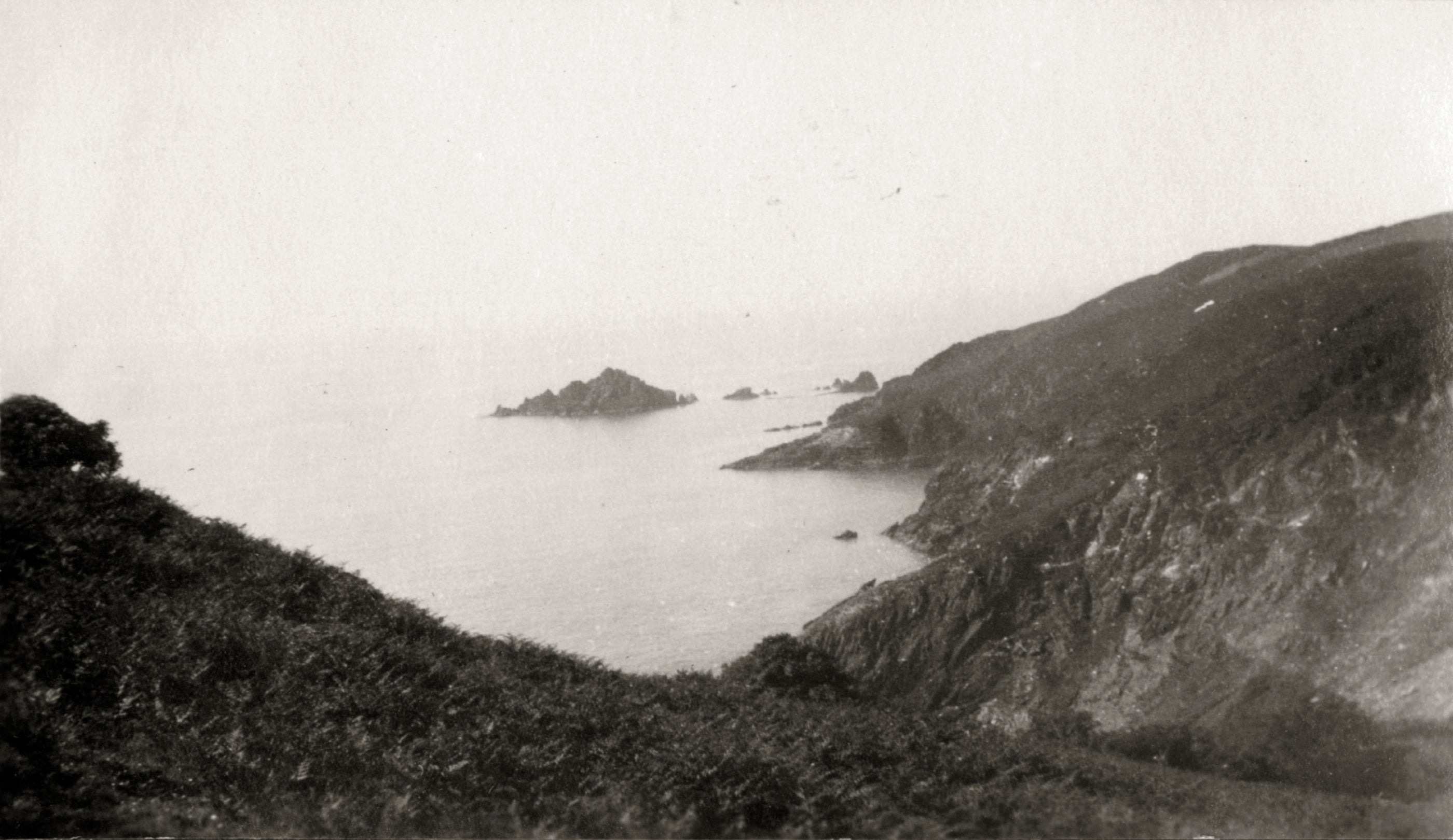 Archive black and white image of the South Devon coastline with shrubs and gorse. In the distance a rocky island out at sea.