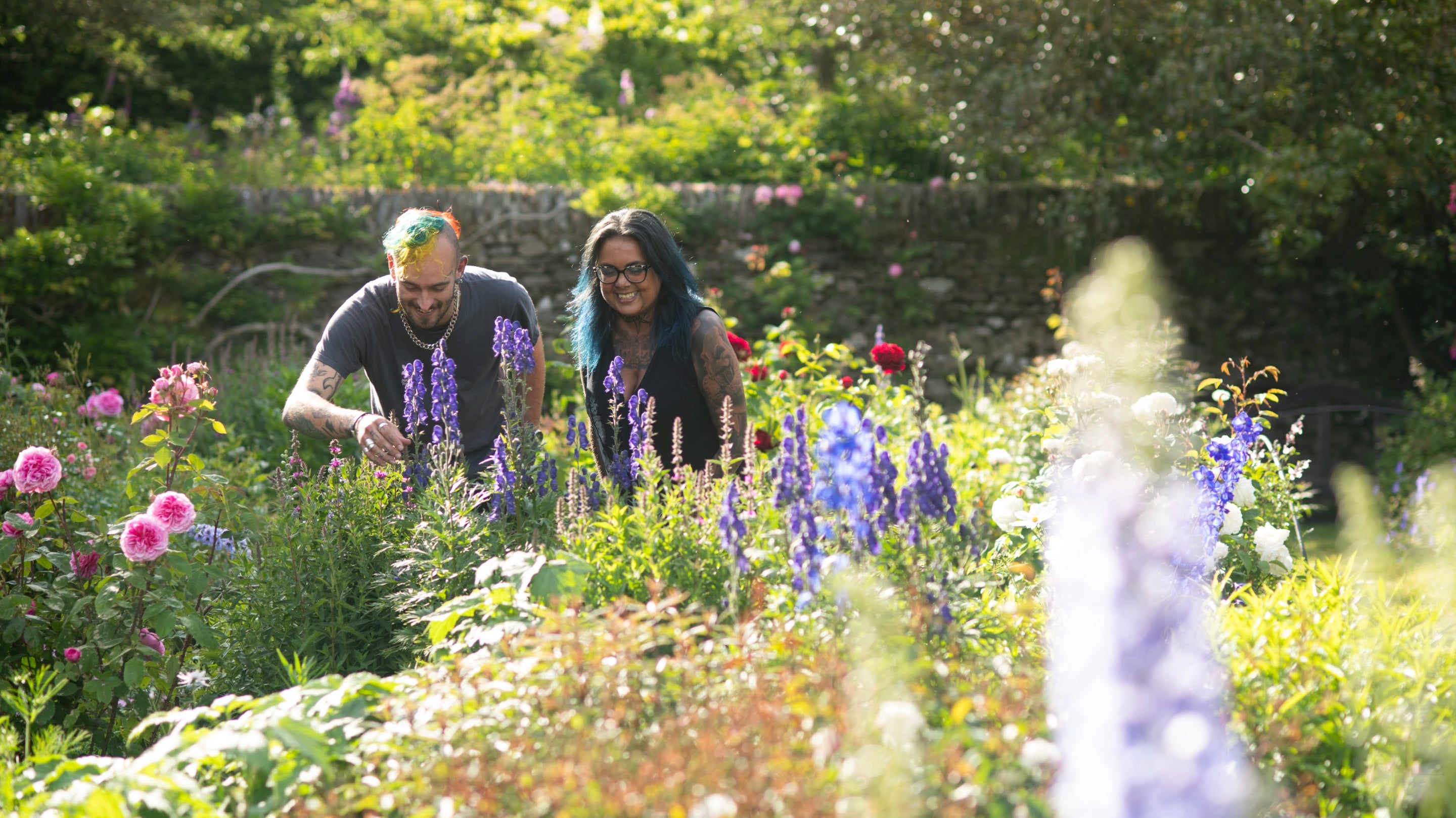 Two individuals are standing in a vibrant garden filled with a variety of colorful flowers. Tall purple and blue flowers are prominently visible in the foreground, while lush green foliage and a stone wall form the background.