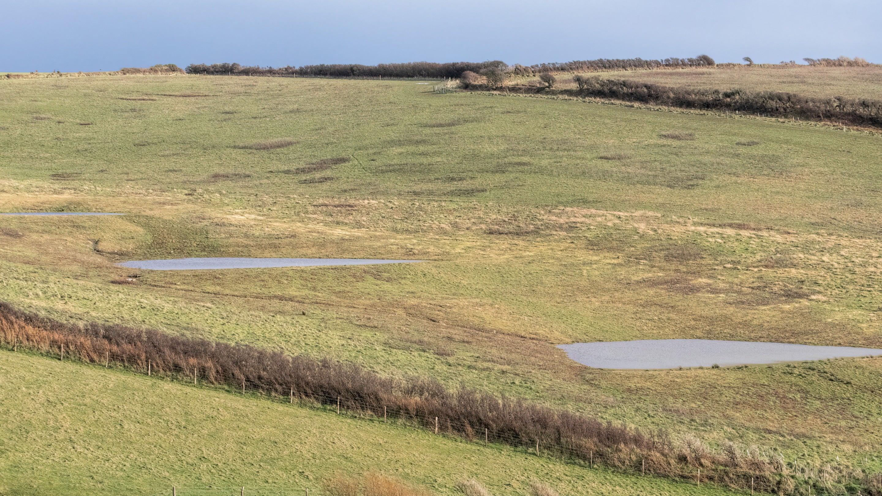 Two scrapes in the earth holding water surrounded by fields
