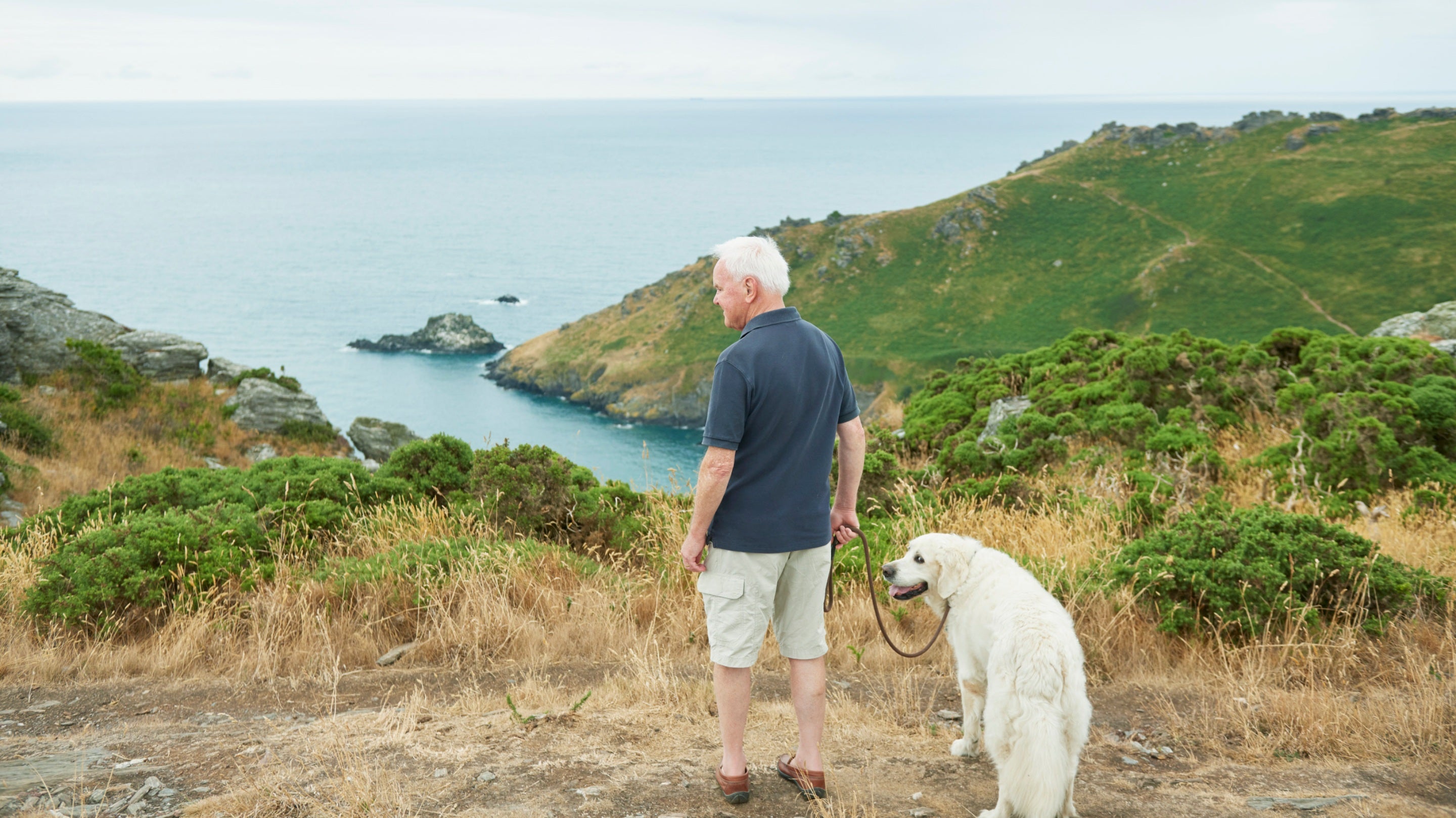 A man stands with a large white retriever dog on the coast path, looking out to craggy cliffs and blue sea