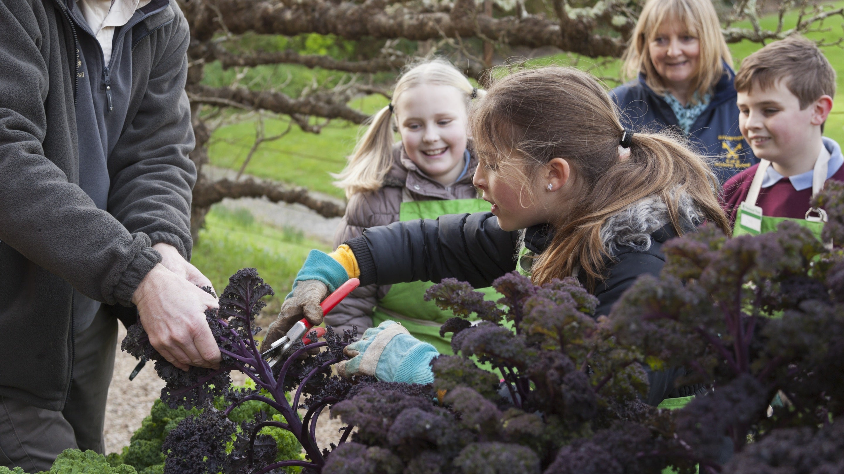 Children learning about vegetables in the garden