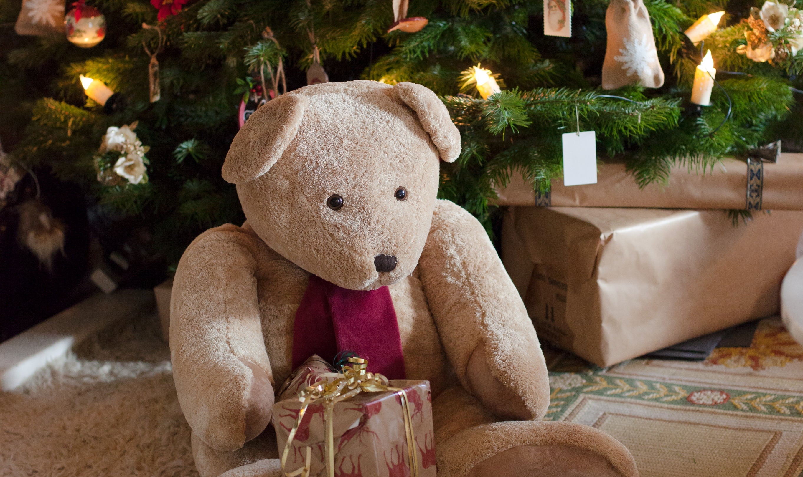 Teddy bear and presents by the Christmas tree