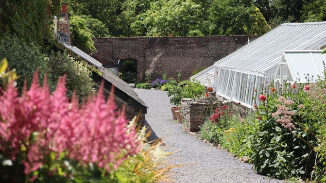 Summer flowers in the Walled Garden at Greenway, Devon
