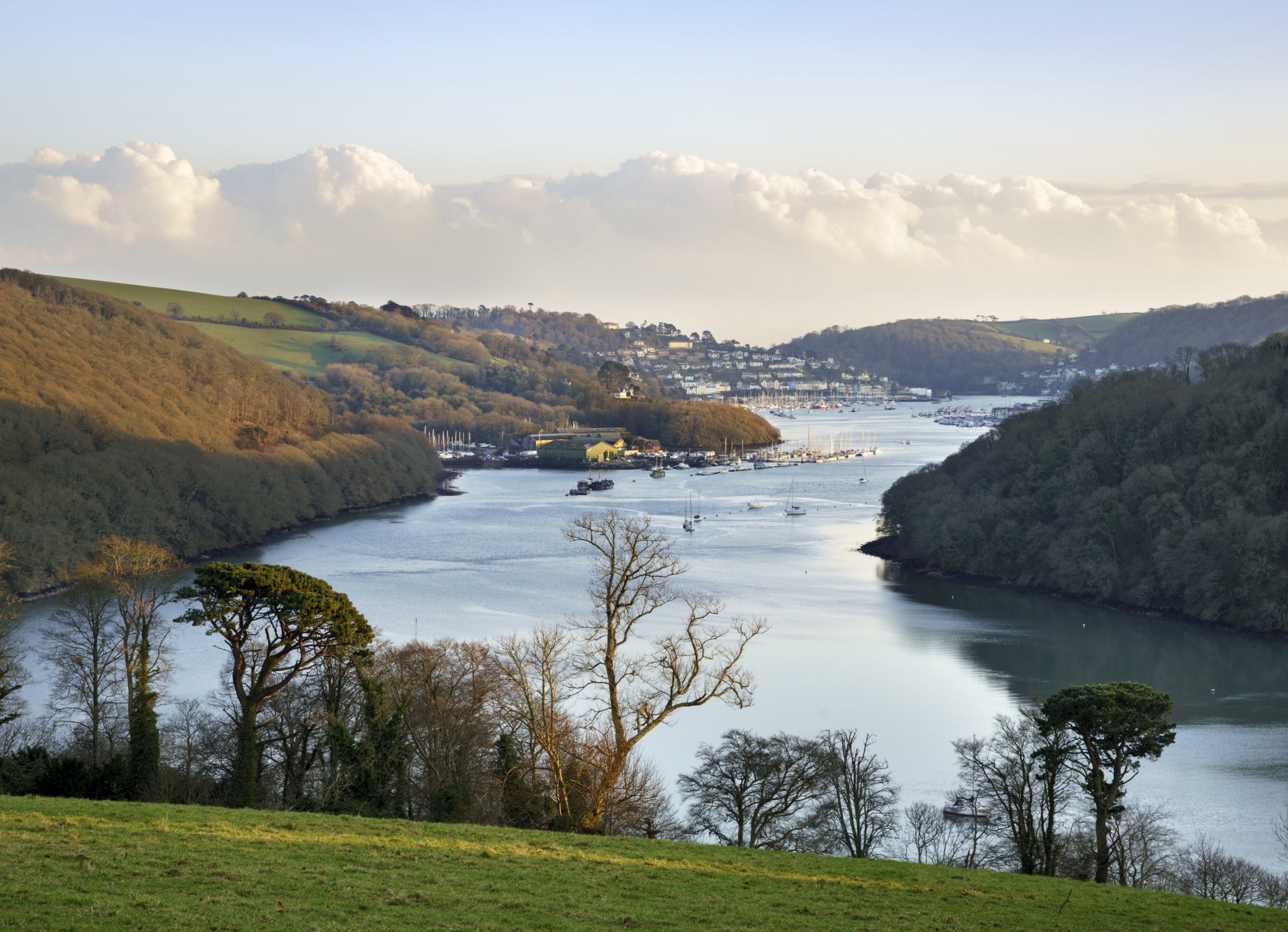 View of the River Dart from the garden of Greenway, Devon.