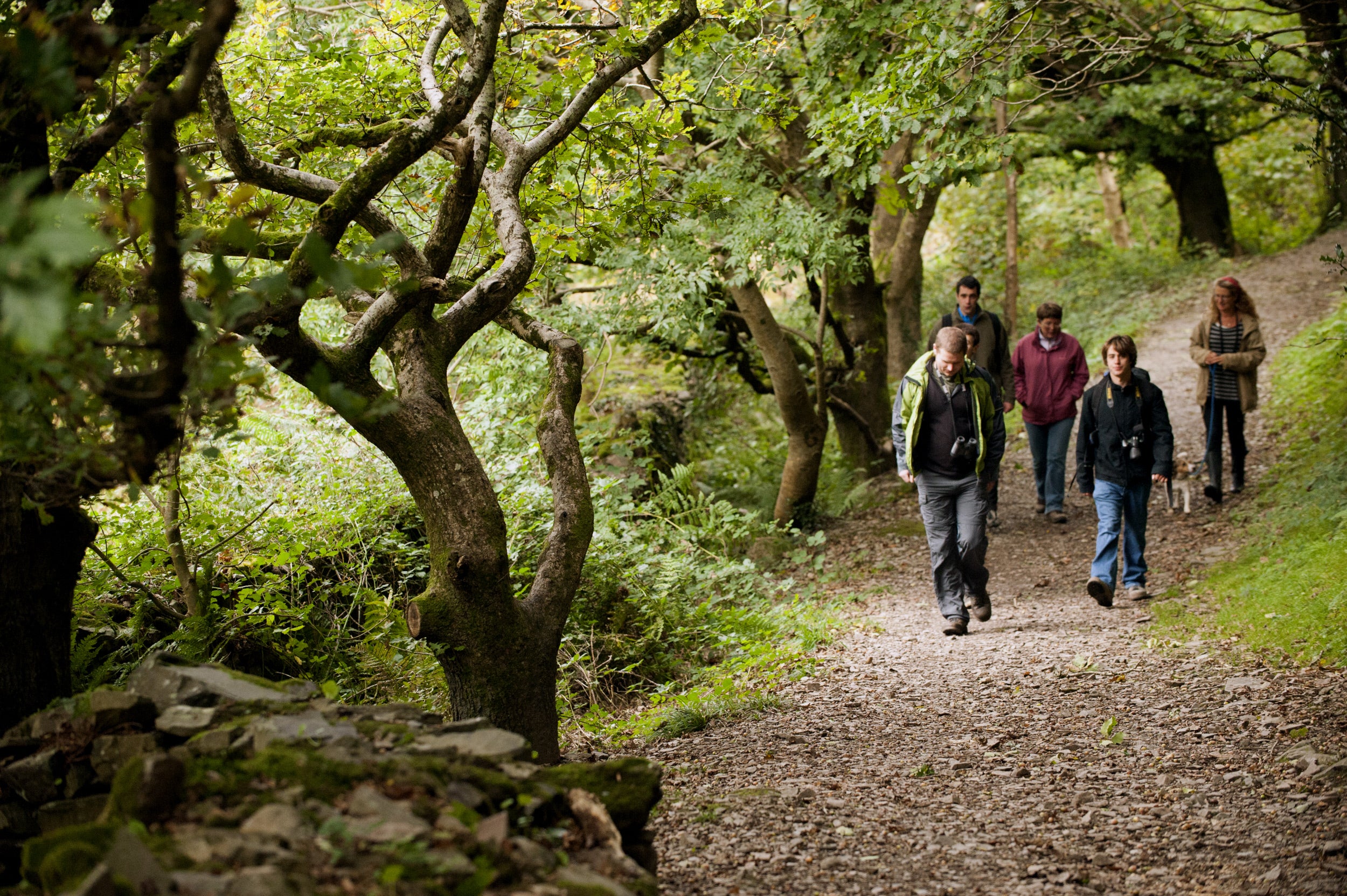 Visitors walking at Heddon Valley, North Devon.