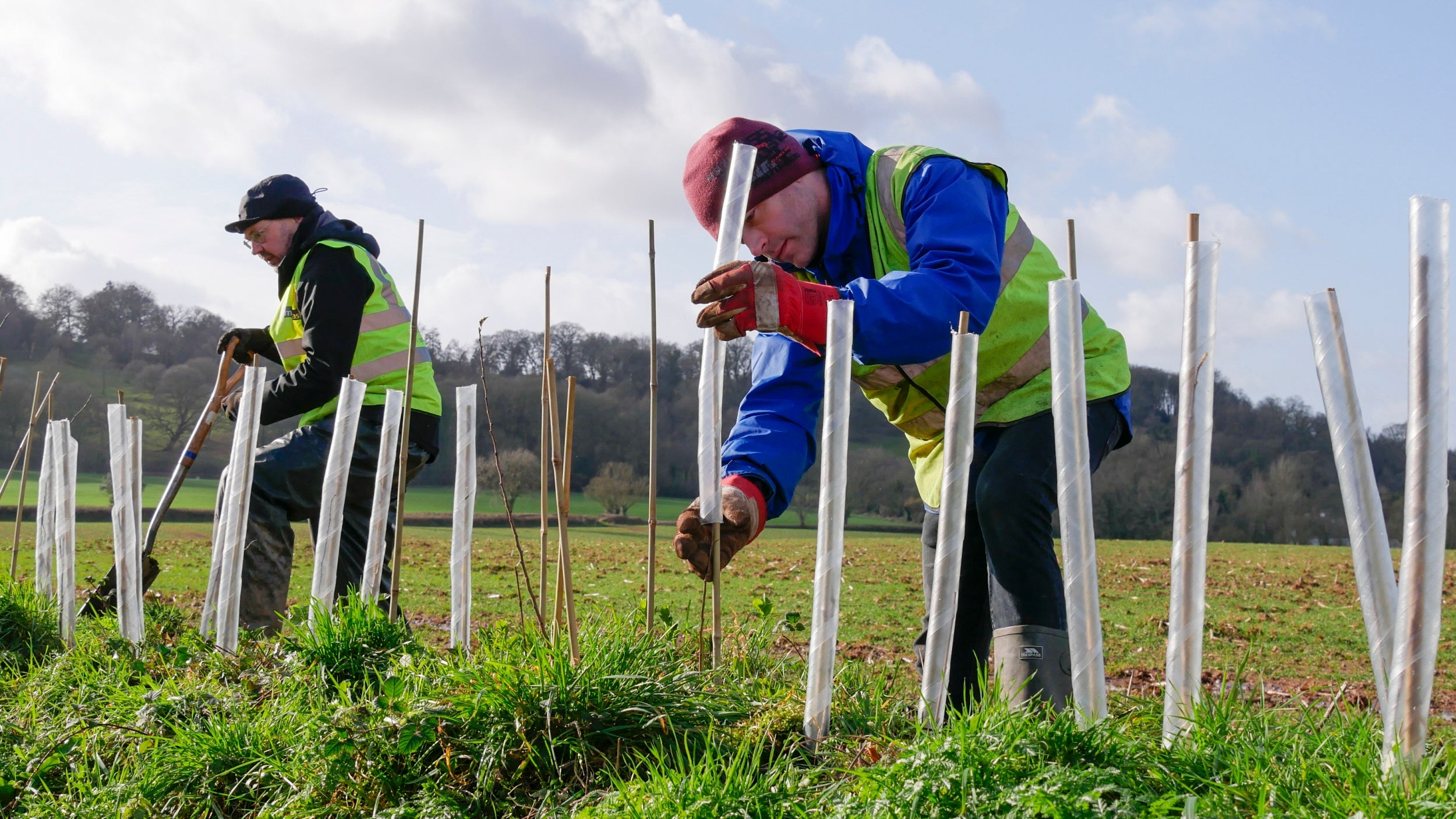 Two men in hi-vis vests planting saplings in grassy bank