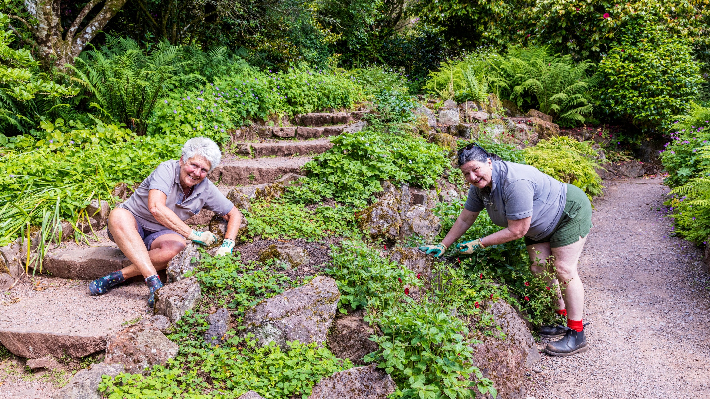 Two gardening volunteers tending to the rock garden at Killerton