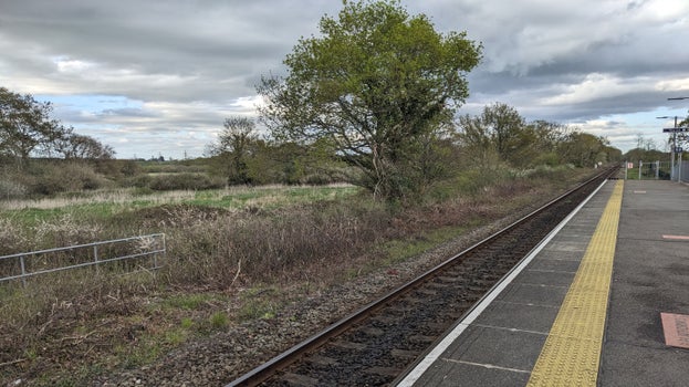 Cranbrook station looking towards Killerton estate