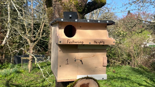 A wooden owl box with 'Feathering Heights' written on it