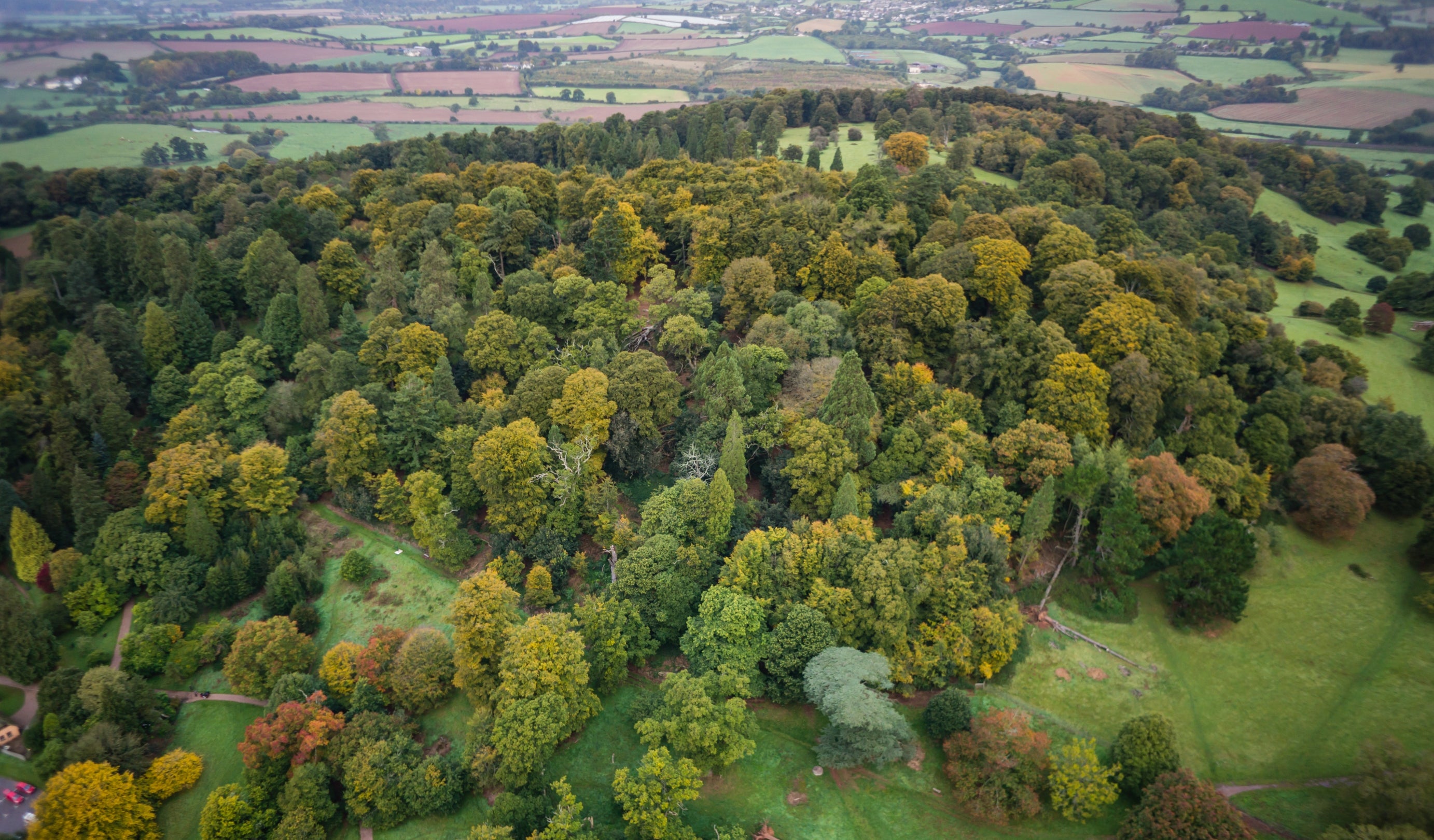 An arial view of The Clump at Killerton