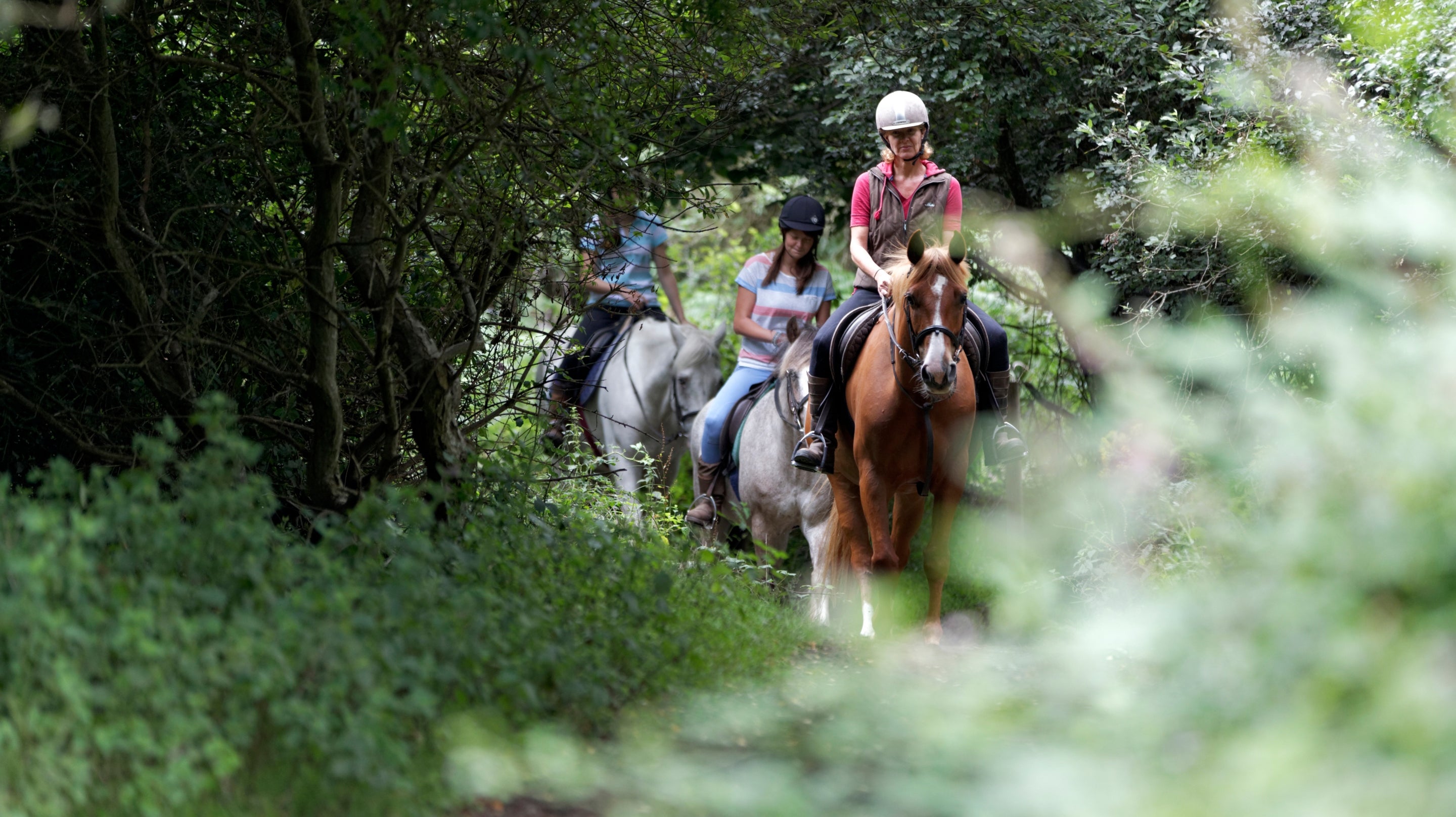 Group of three on horseback, riding through woodland