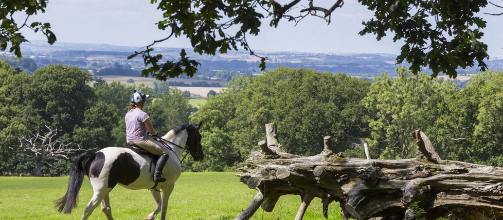 A visitor rides their horse through the grounds in the sunshine at Killerton, Devon
