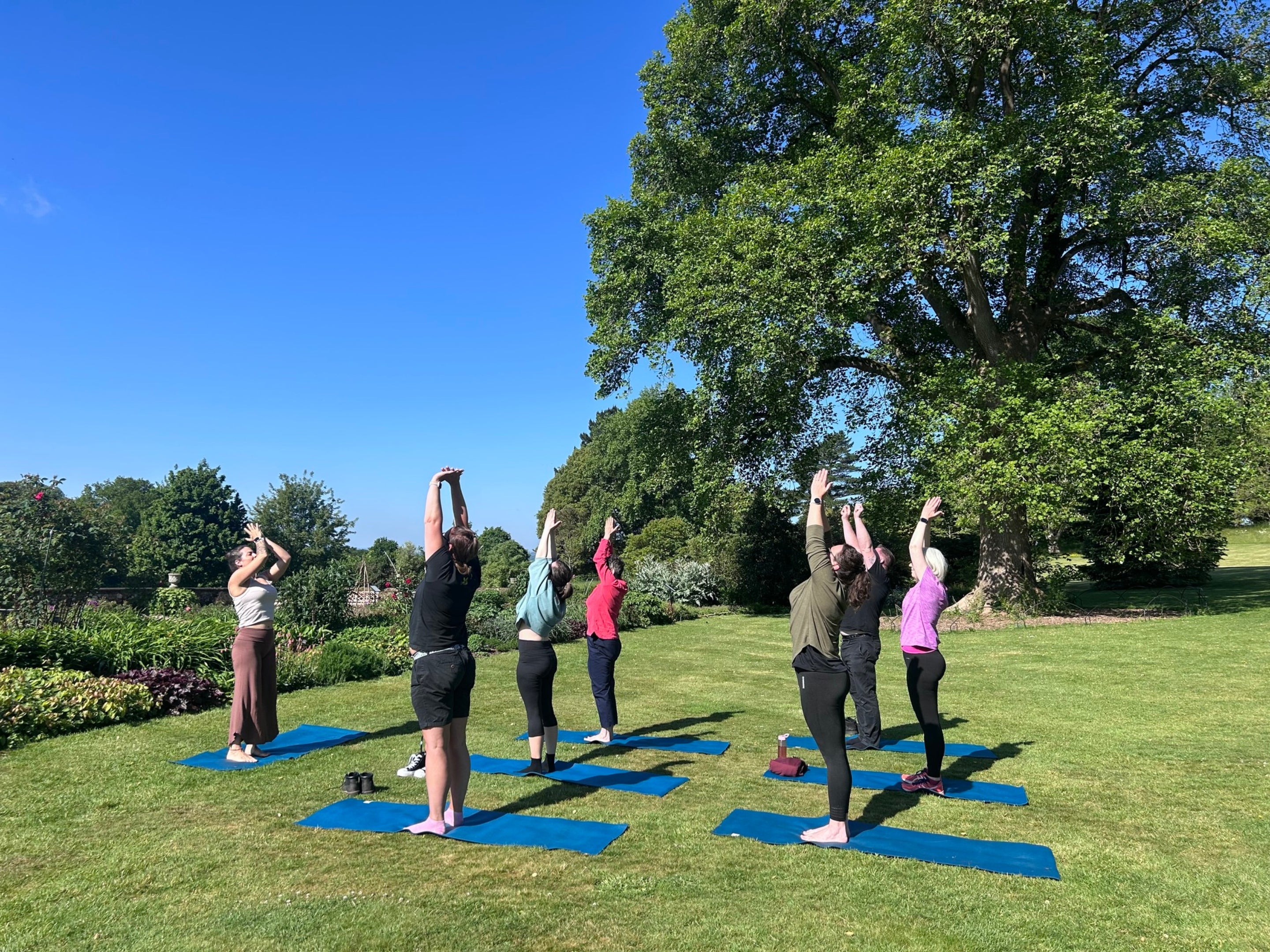 A group of people stretching up and taking part in an outdoor yoga session on the lawn