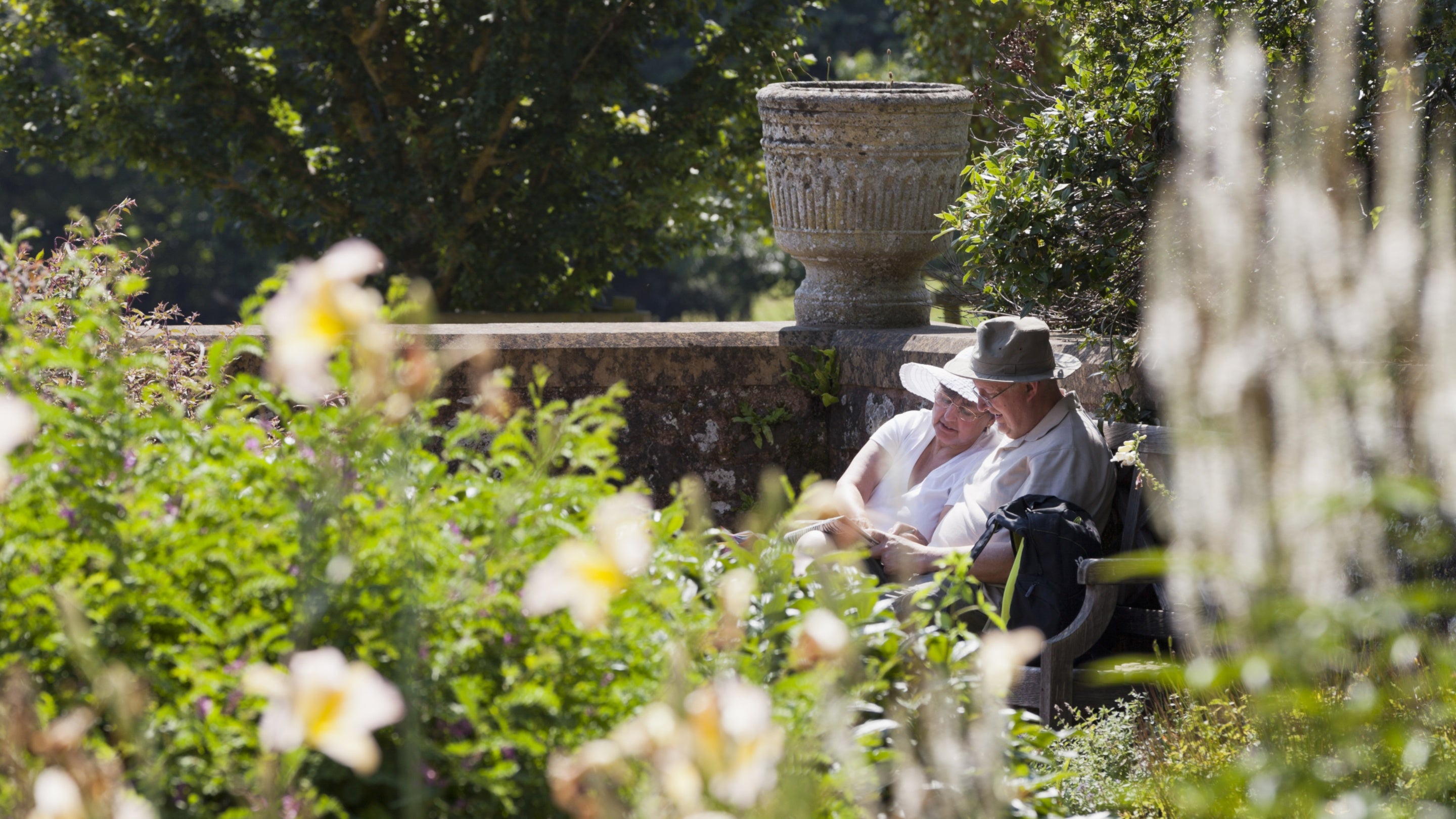 Visitors relaxing in the garden at Killerton, Devon, in August.