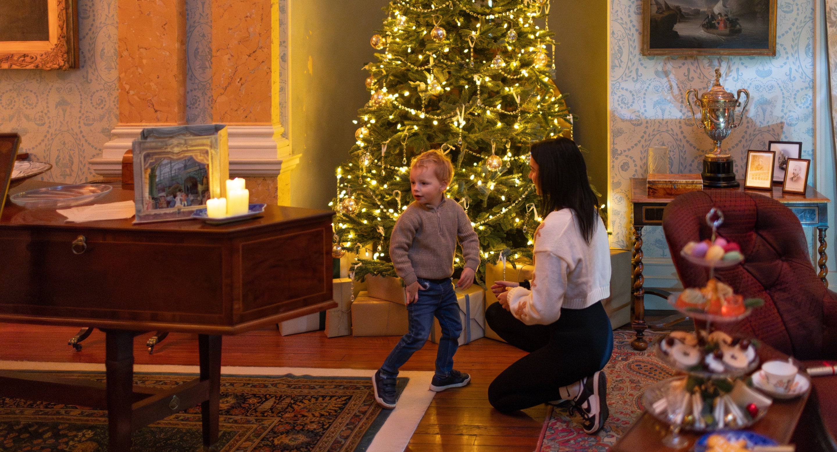 Visitors looking at a Christmas tree at Killerton