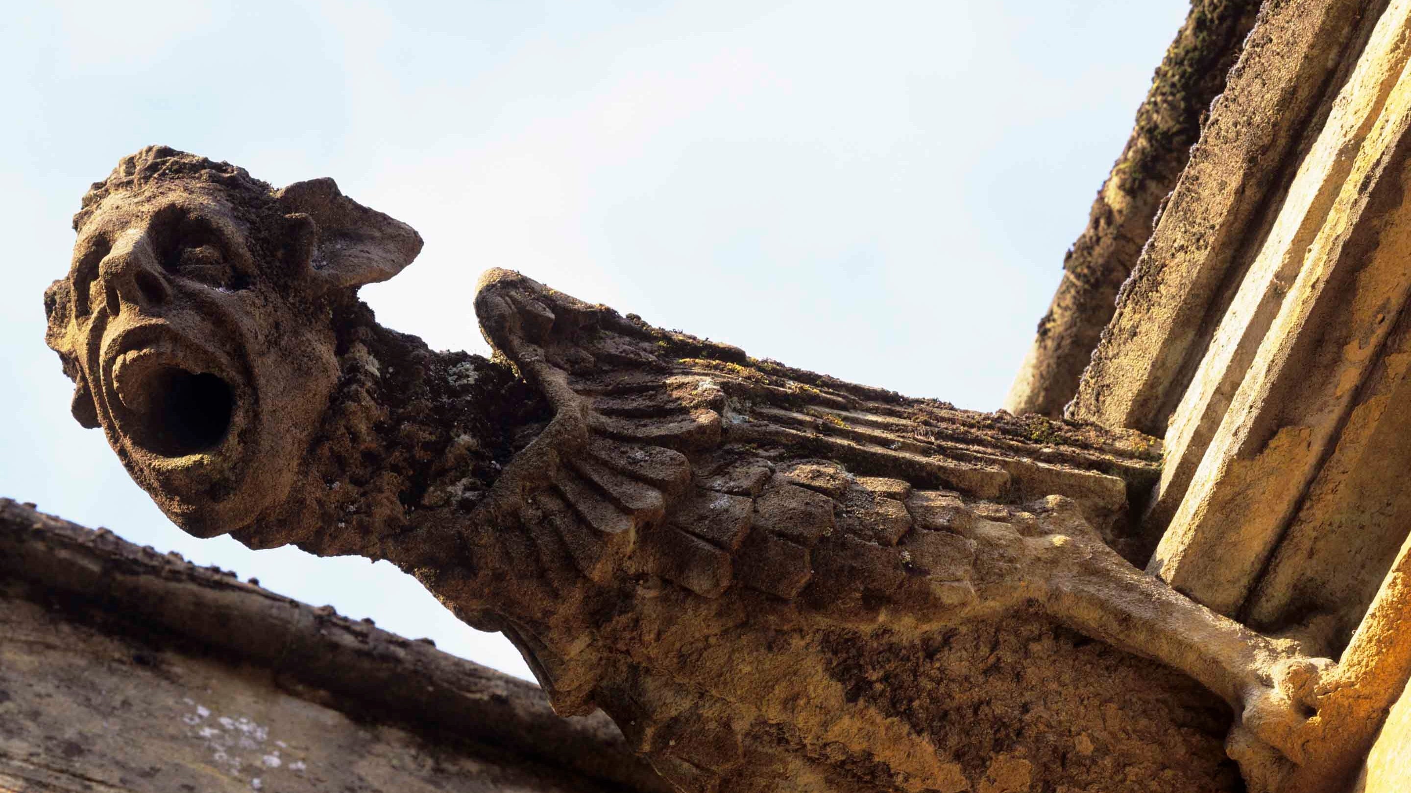 A stone gargoyle outside at Knightshayes