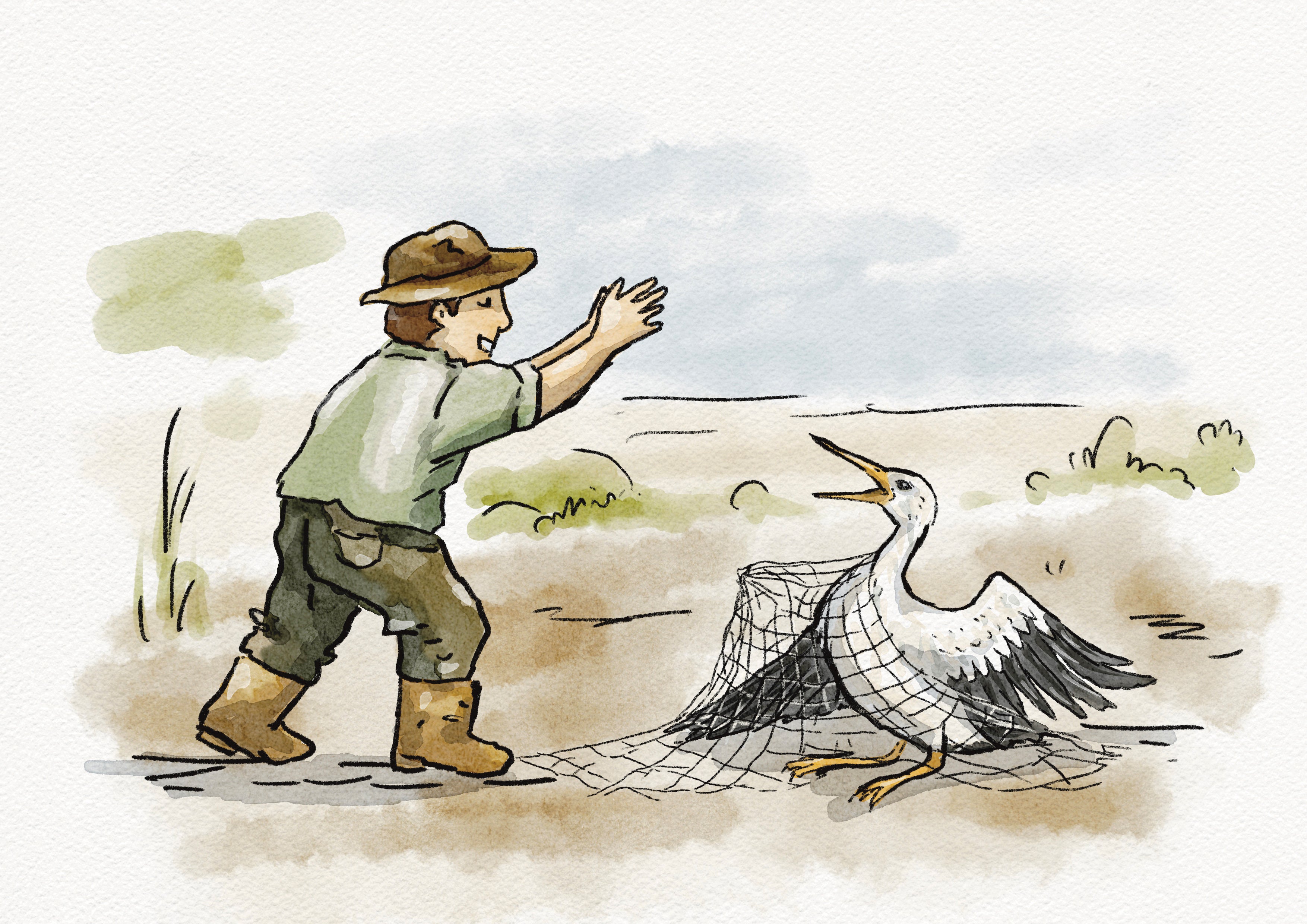 The Farmer and The Cranes