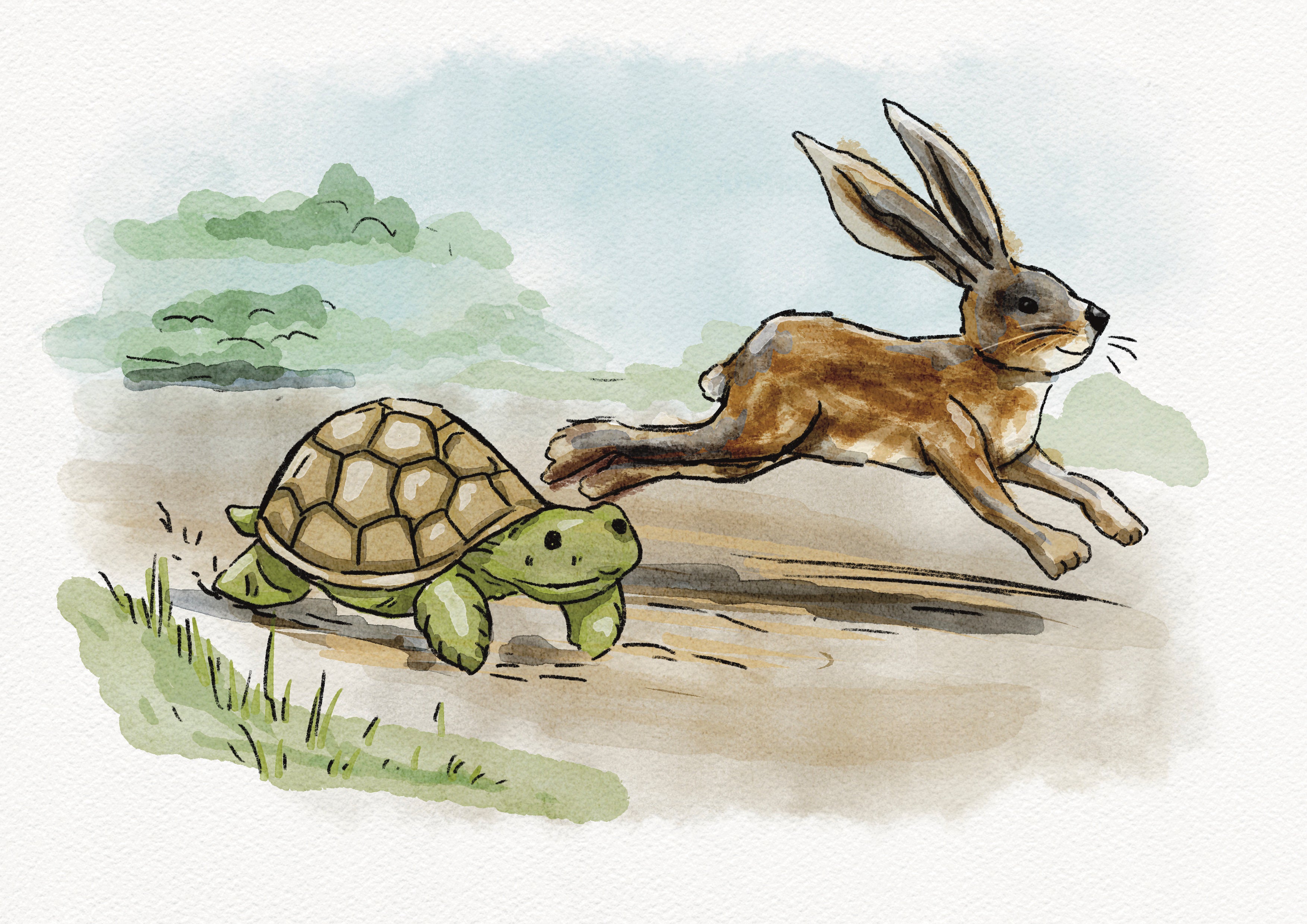 The Hare and The Tortoise