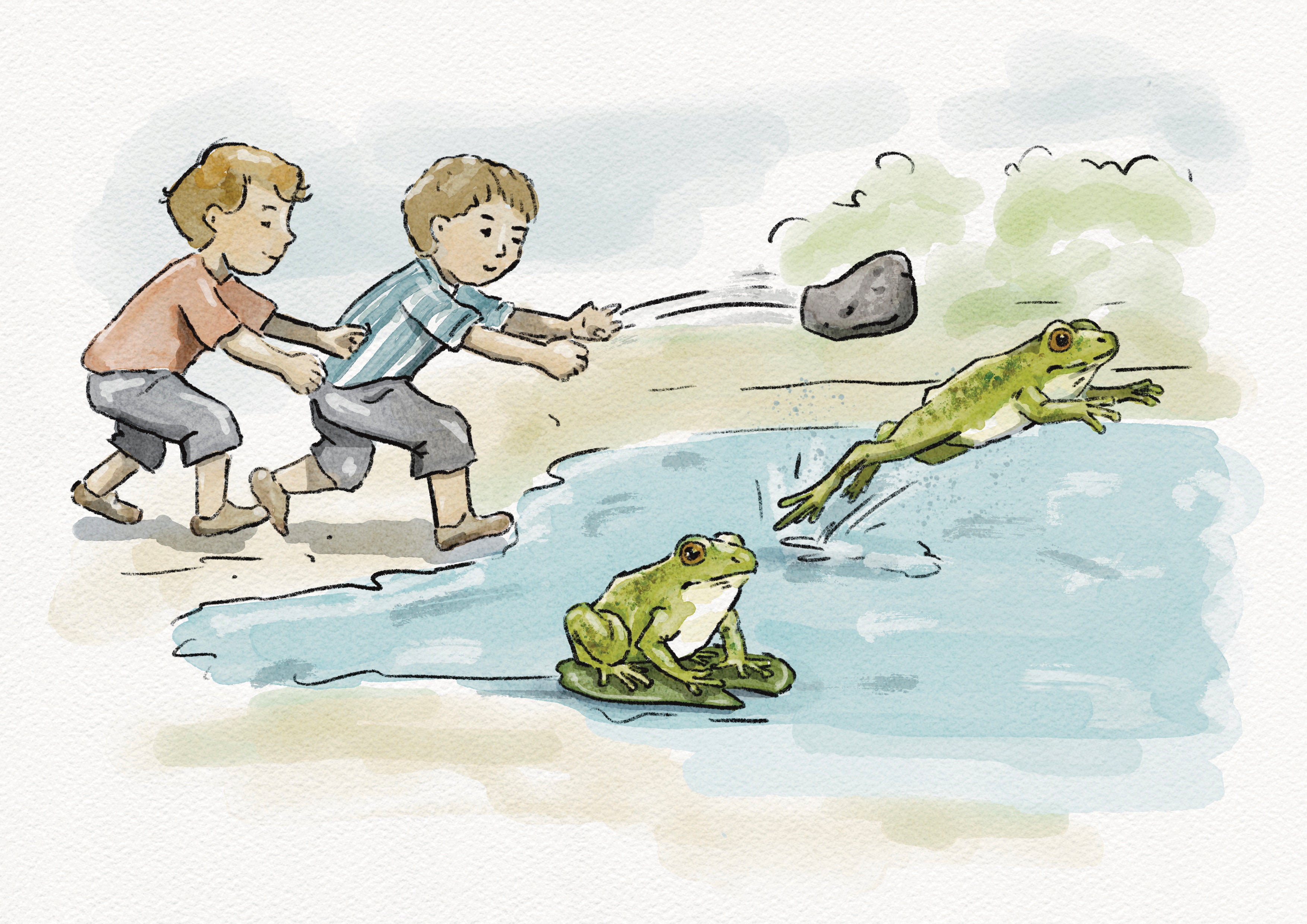 The Boy and The Frog