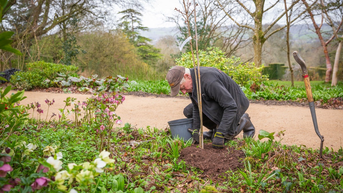 Discover gardening tips & inspiration | National Trust