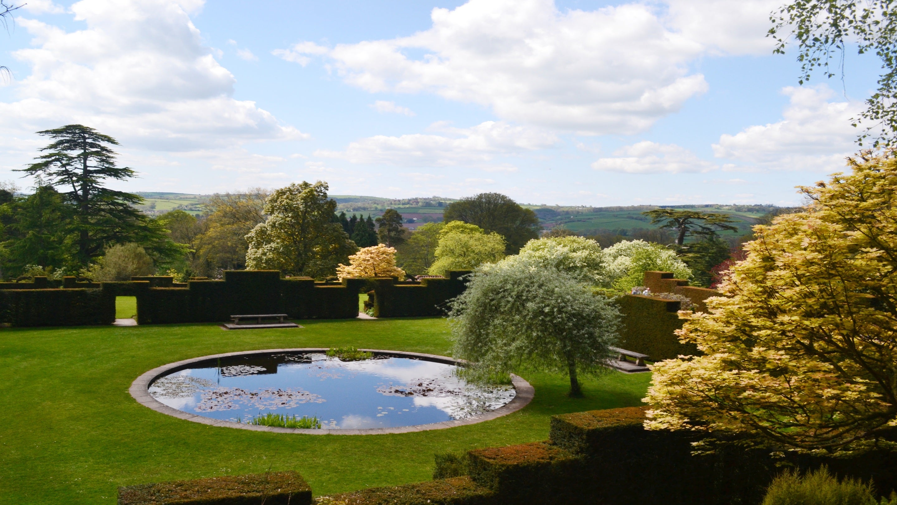 View over the pool garden in spring, bright green and yellow leaves on trees.