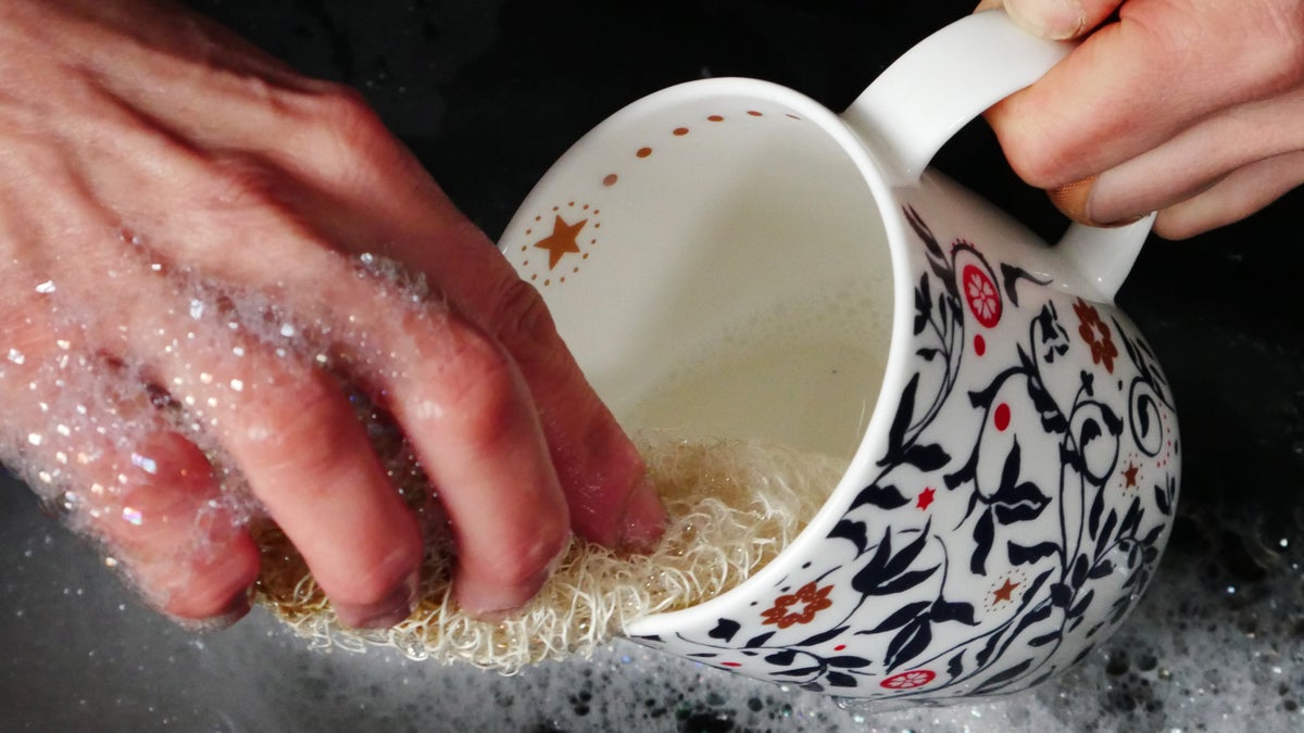 How to grow loofah kitchen sponges National Trust