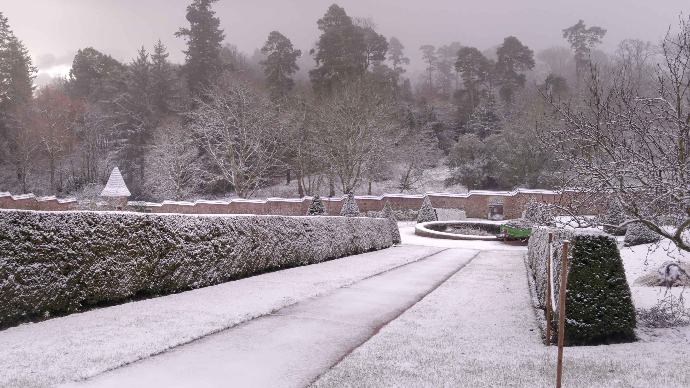 Snow covers the garden at Knightshayes