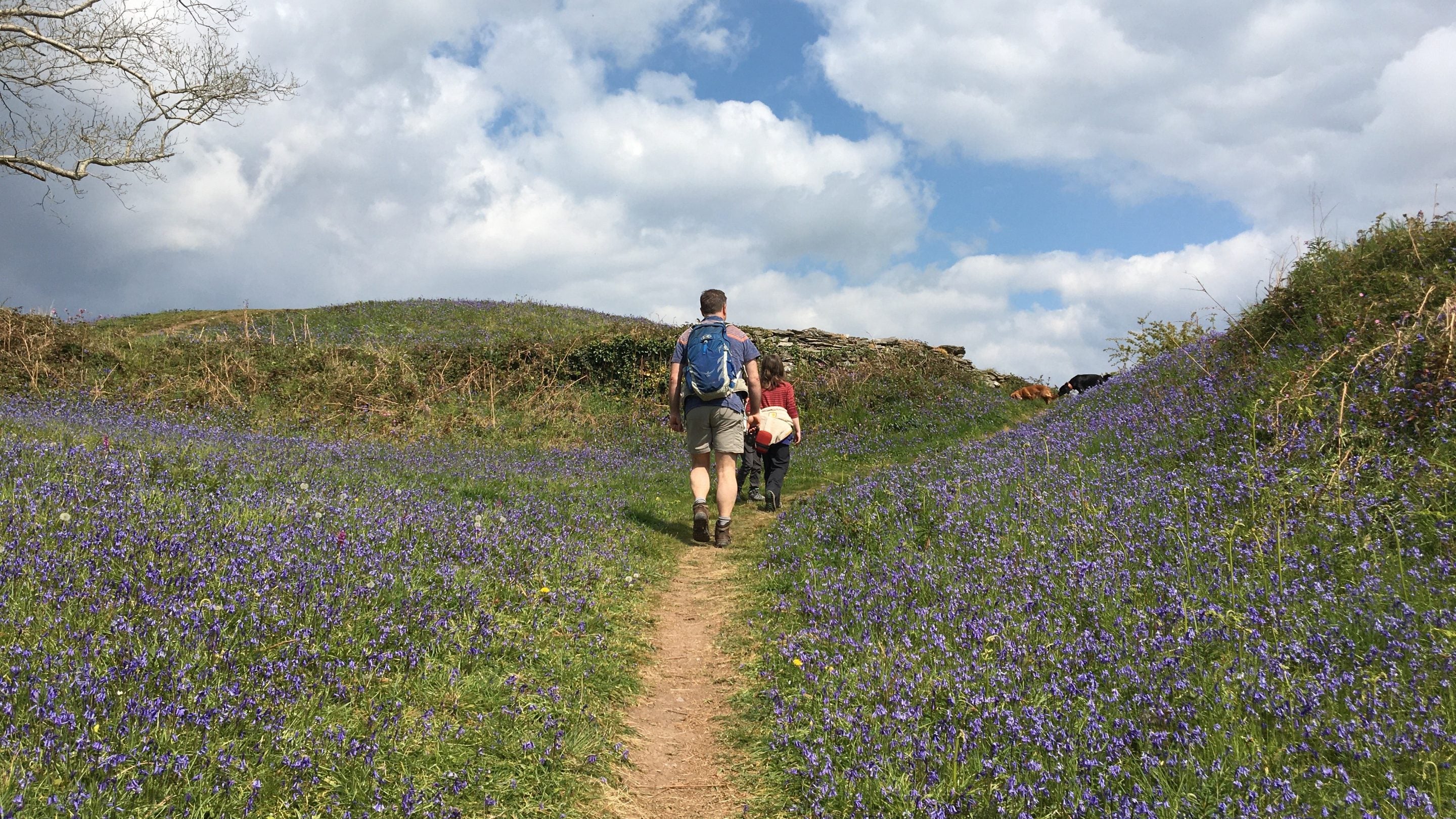 Visitors walking at the Civil War fort found at Gallants Bower, Little Dartmouth, Devon