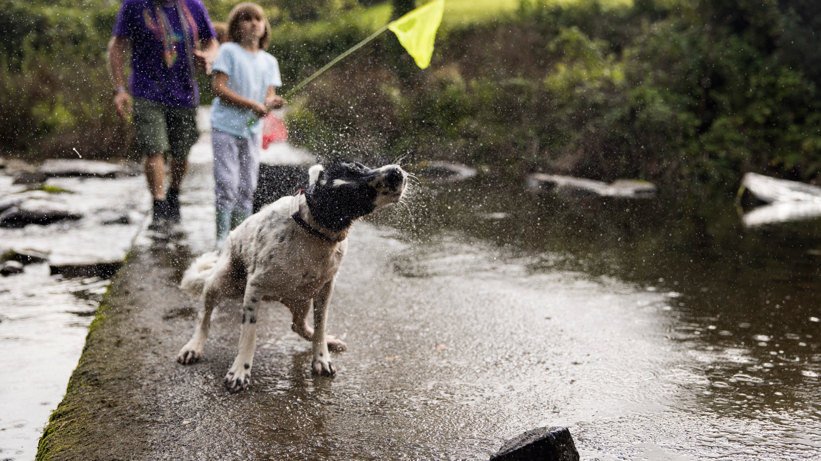Dog walking at Lorna Doone Valley