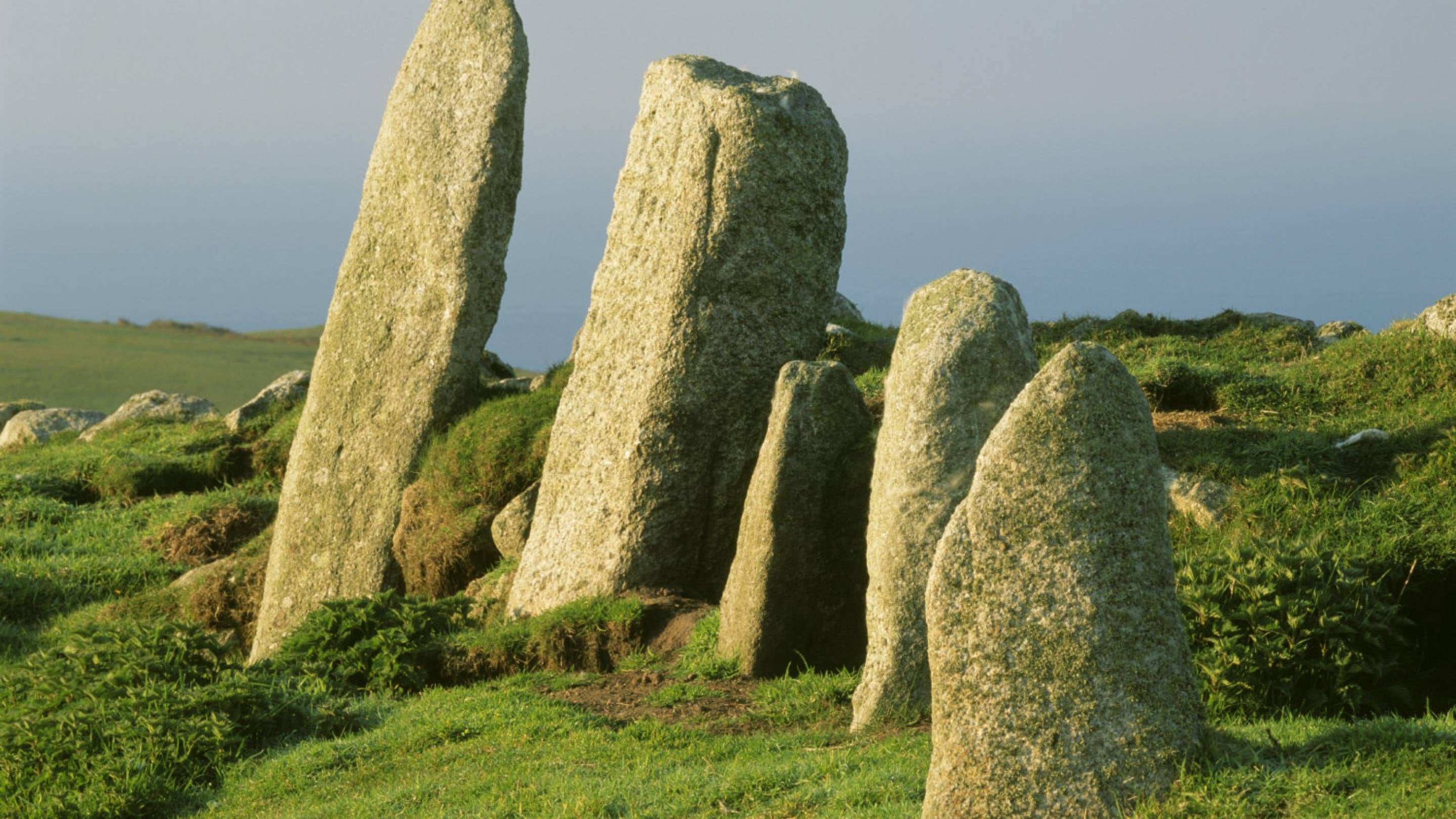Standing stones in a field
